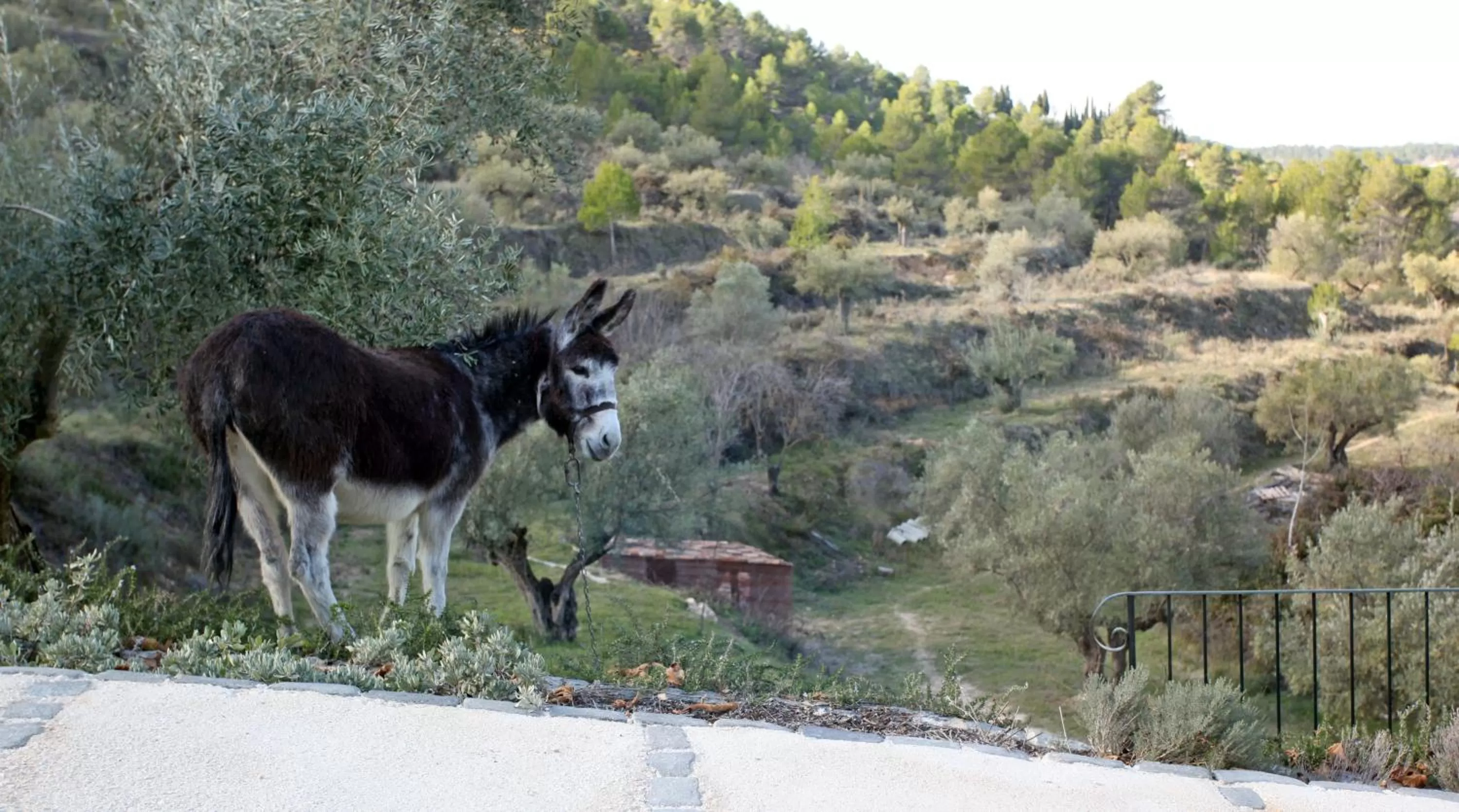 Facade/entrance in Eco Hotel con encanto Masía la Mota B&B