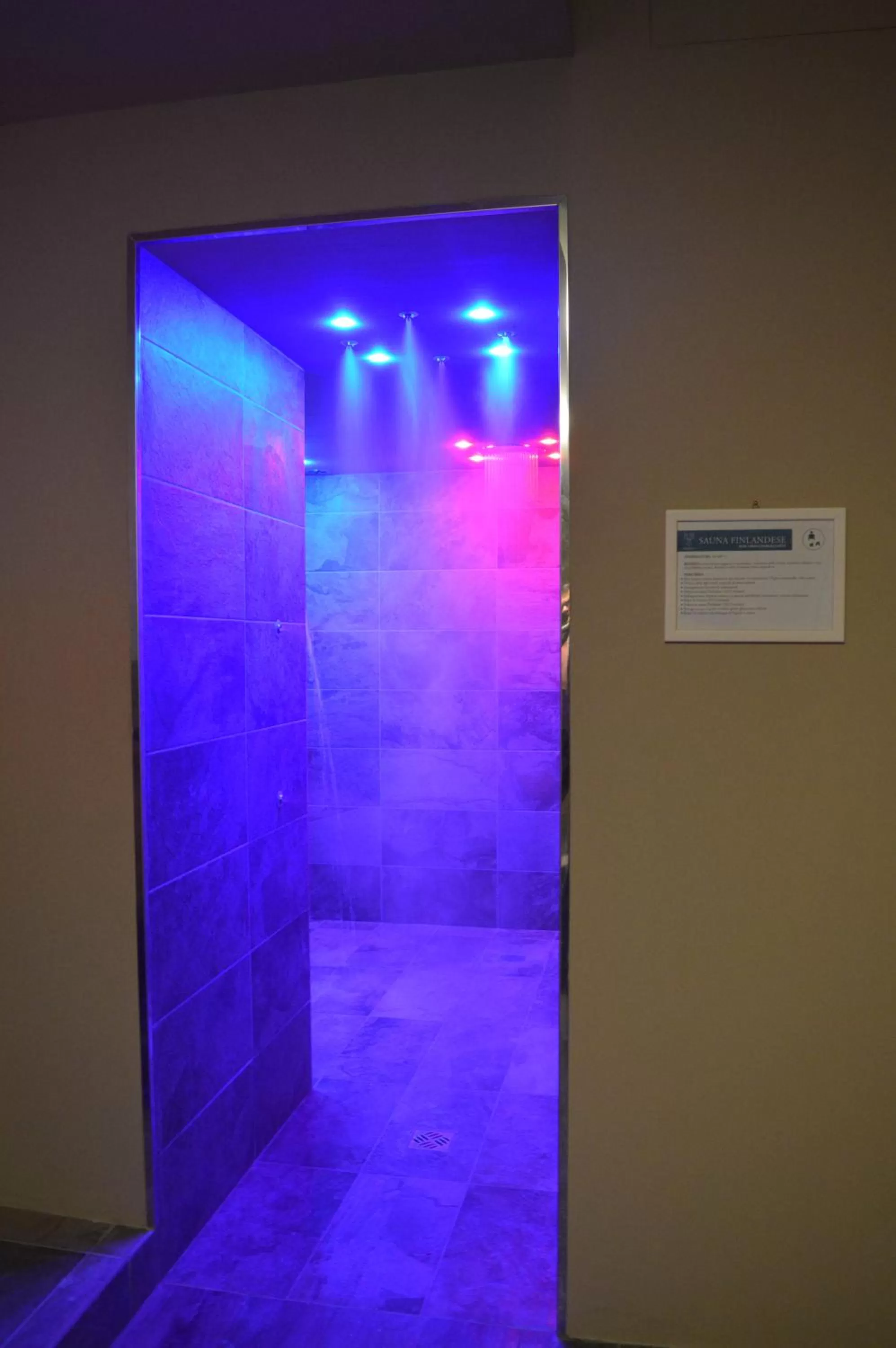 Spa and wellness centre/facilities in Euroterme