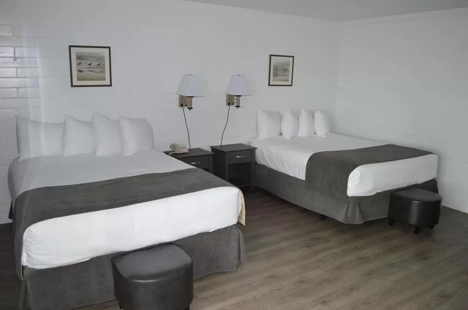 Queen Suite with Sea View in Driftwood Inn