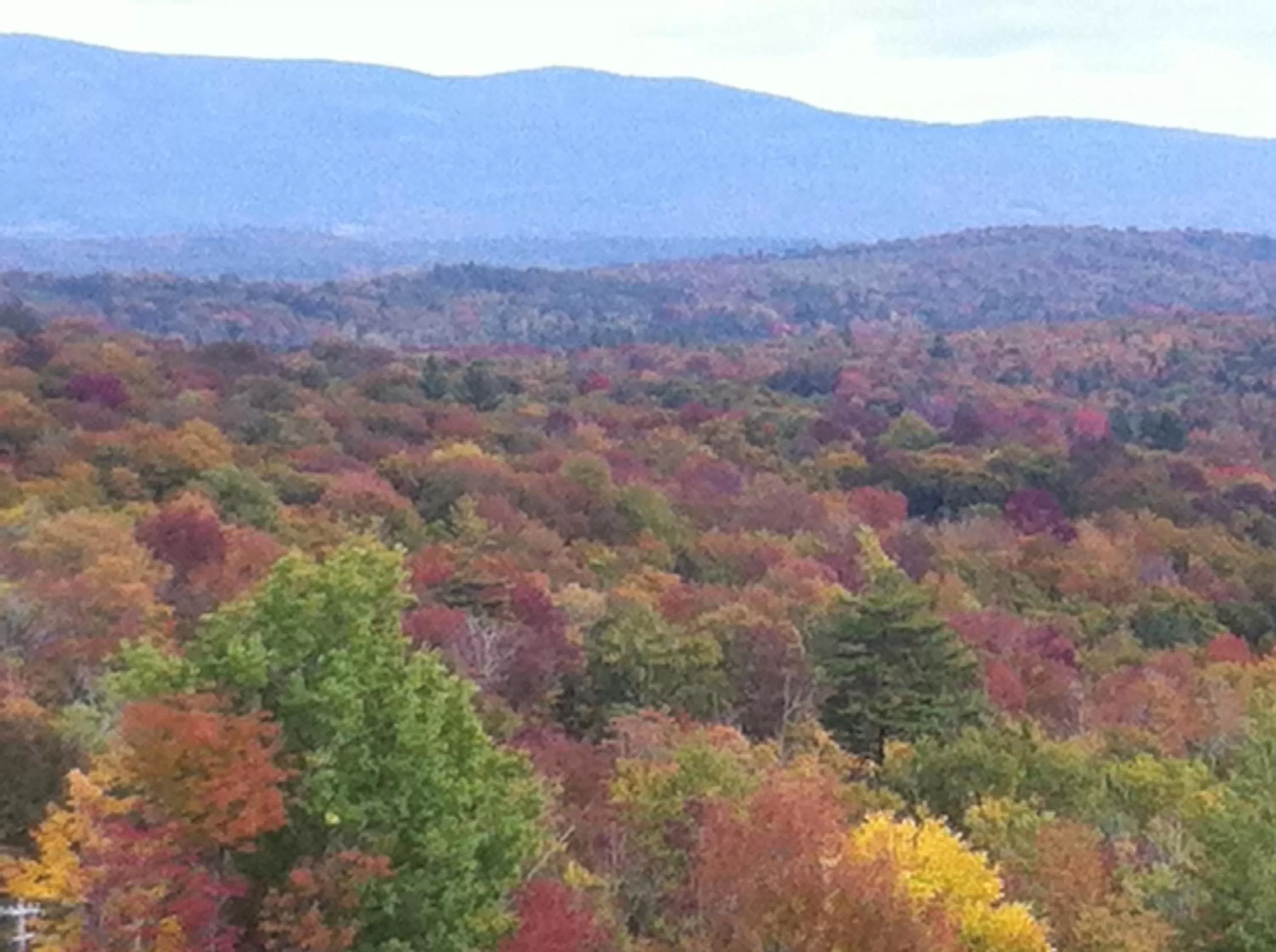 River view in Lodge at Bromley