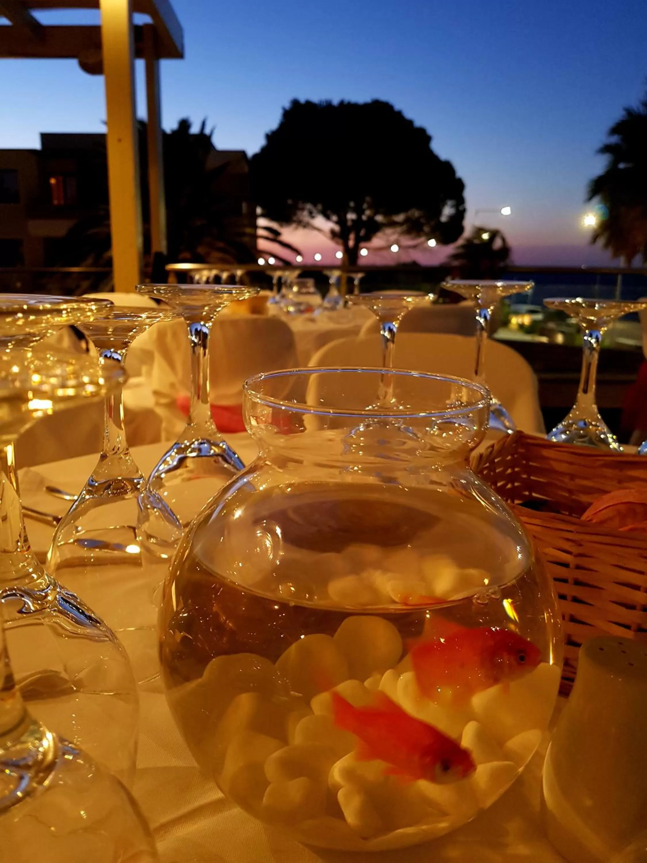 Meals in Elysion Hotel