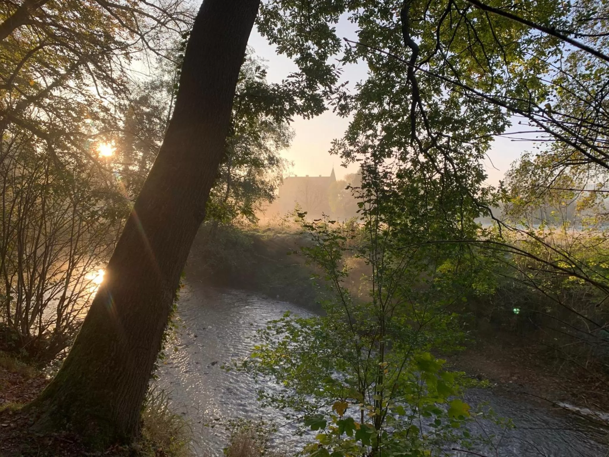 Natural landscape in Hotel Atlanta