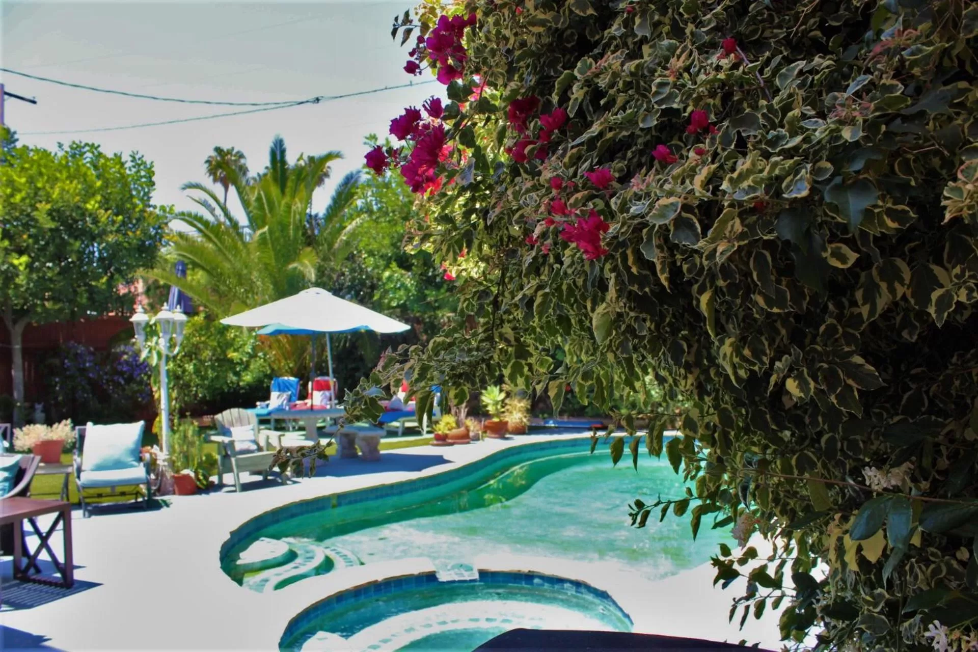 Pool view in Sweet Dreams B&B LA