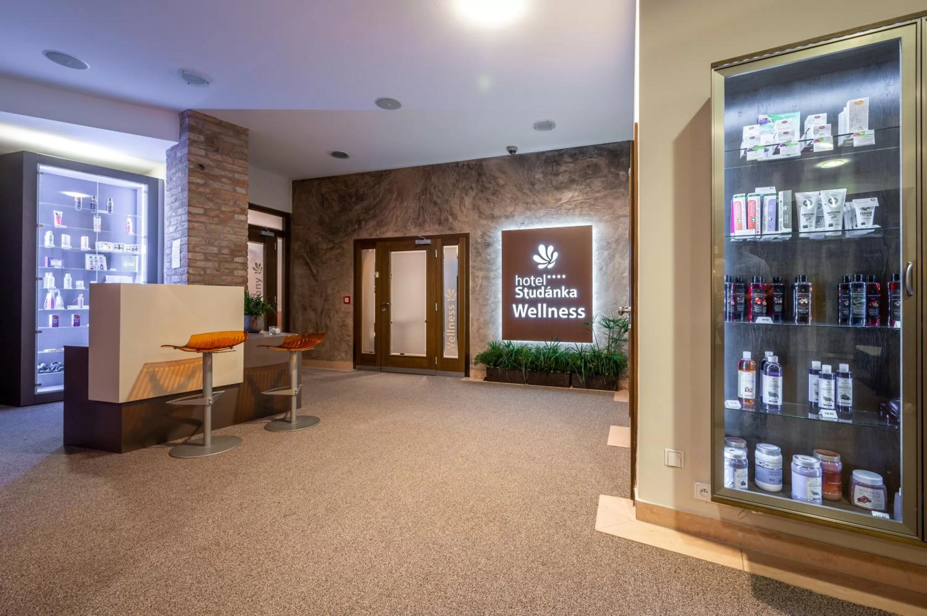 Spa and wellness centre/facilities in Hotel Studanka