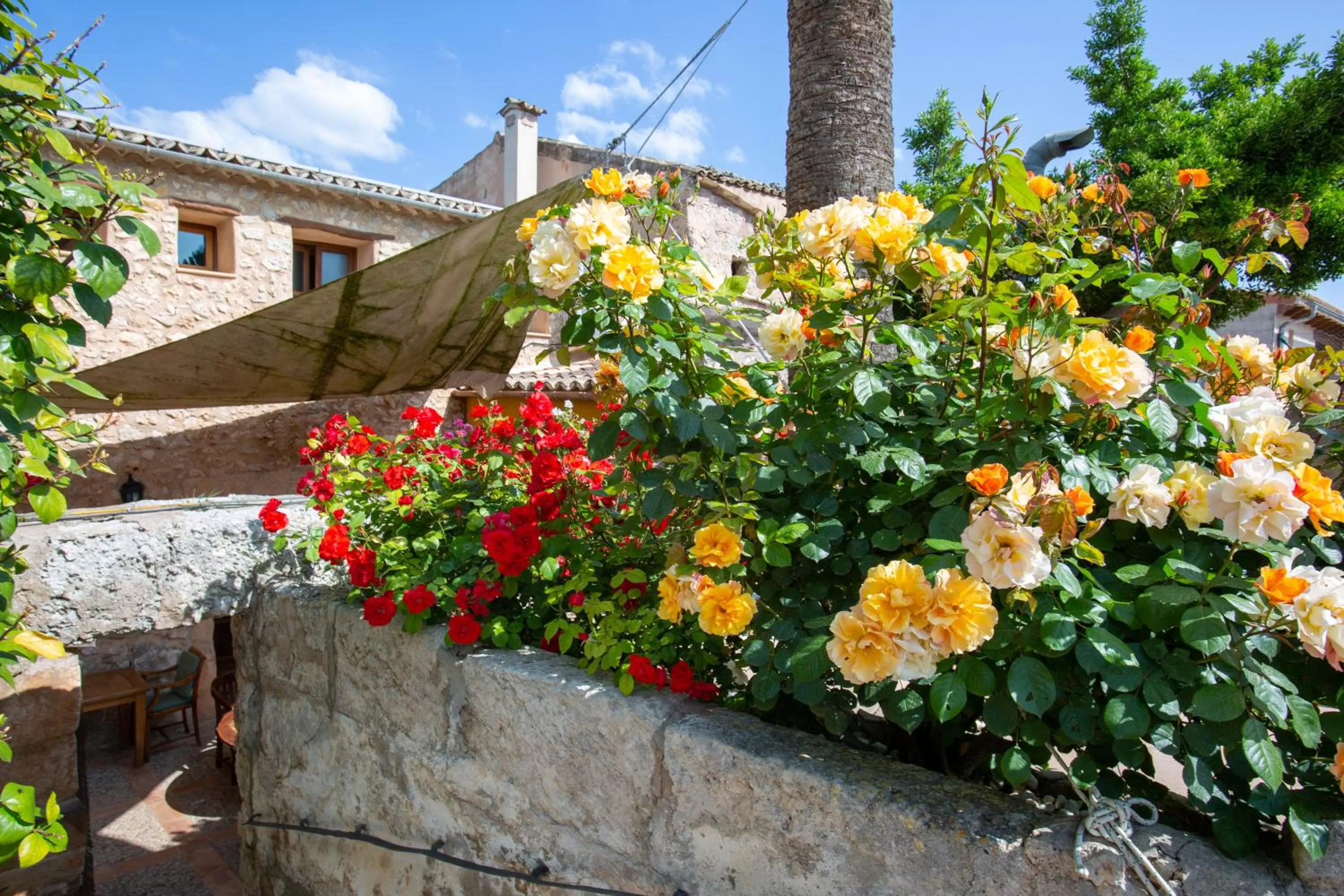 Property Building in Sa Barcella