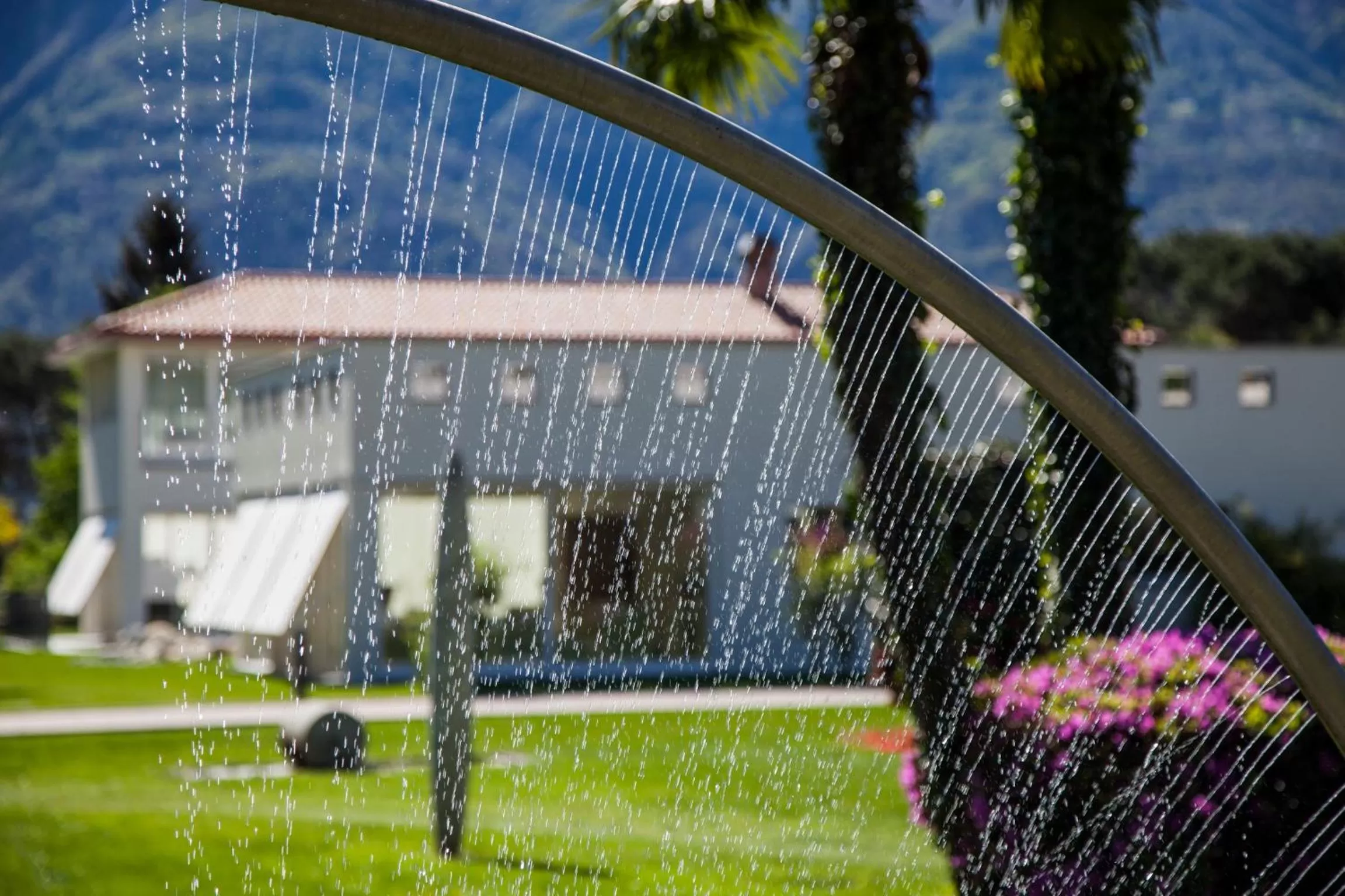 Garden in Delta Resort Apartments