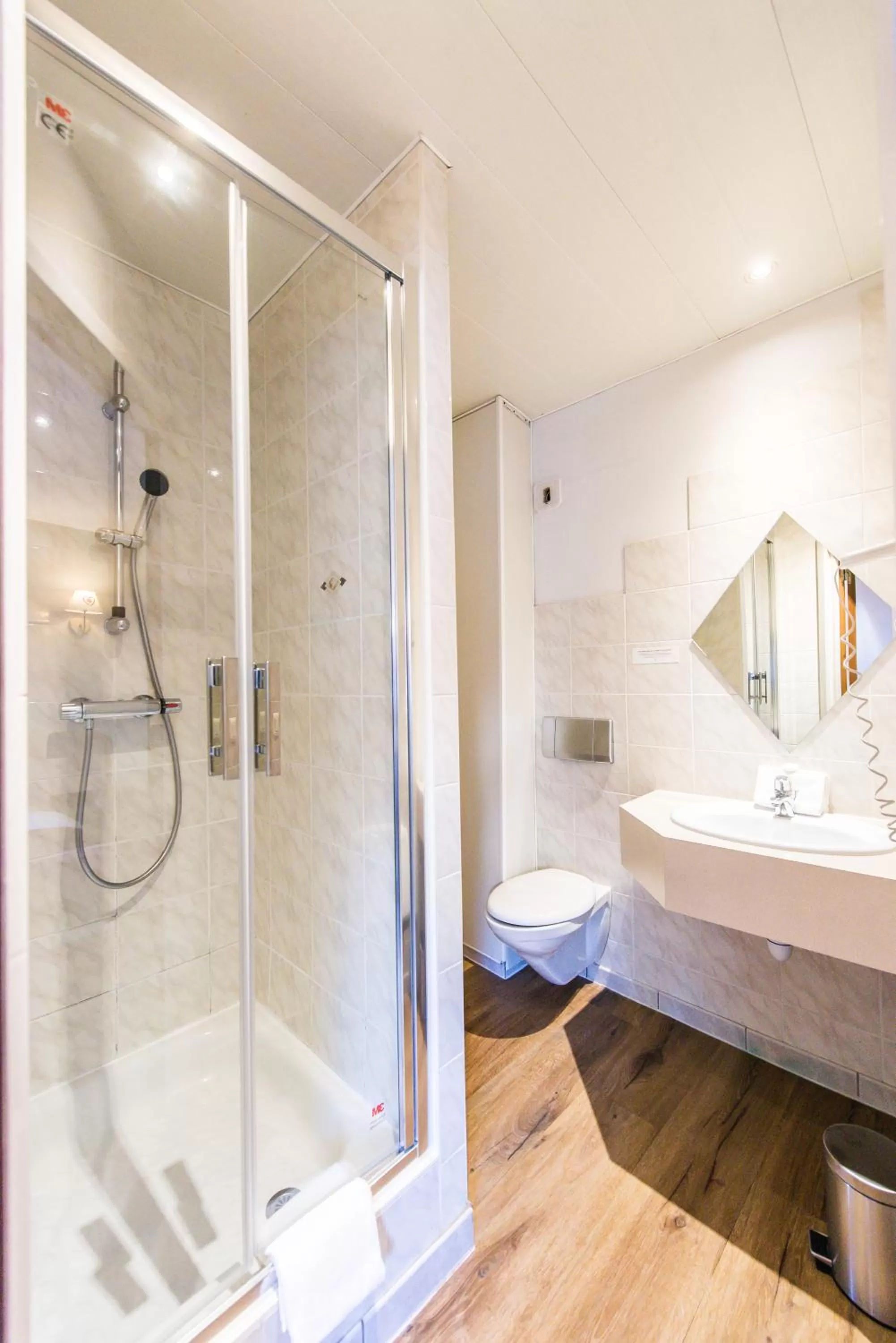 Shower, Bathroom in Hôtel Au Lion