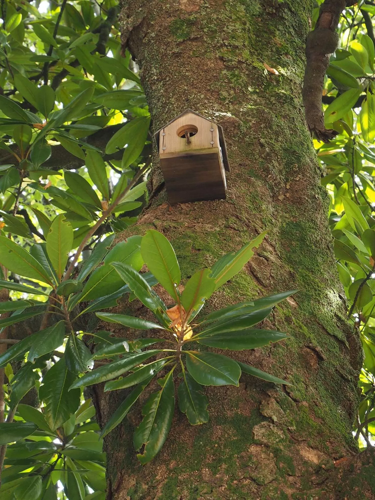 Off site in Hotel Alcazar Irun