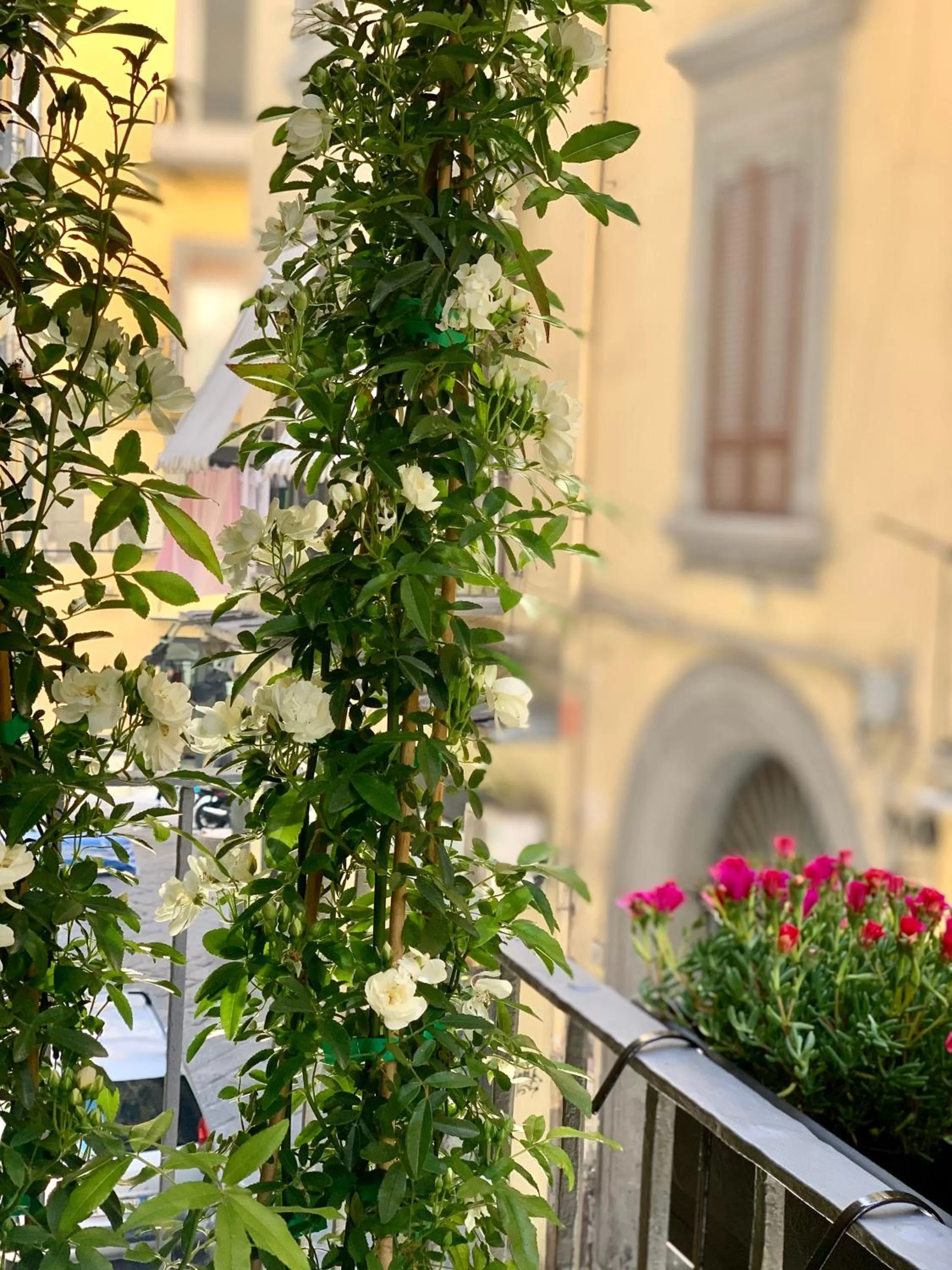 Balcony/Terrace in Toledo Boutique Rooms