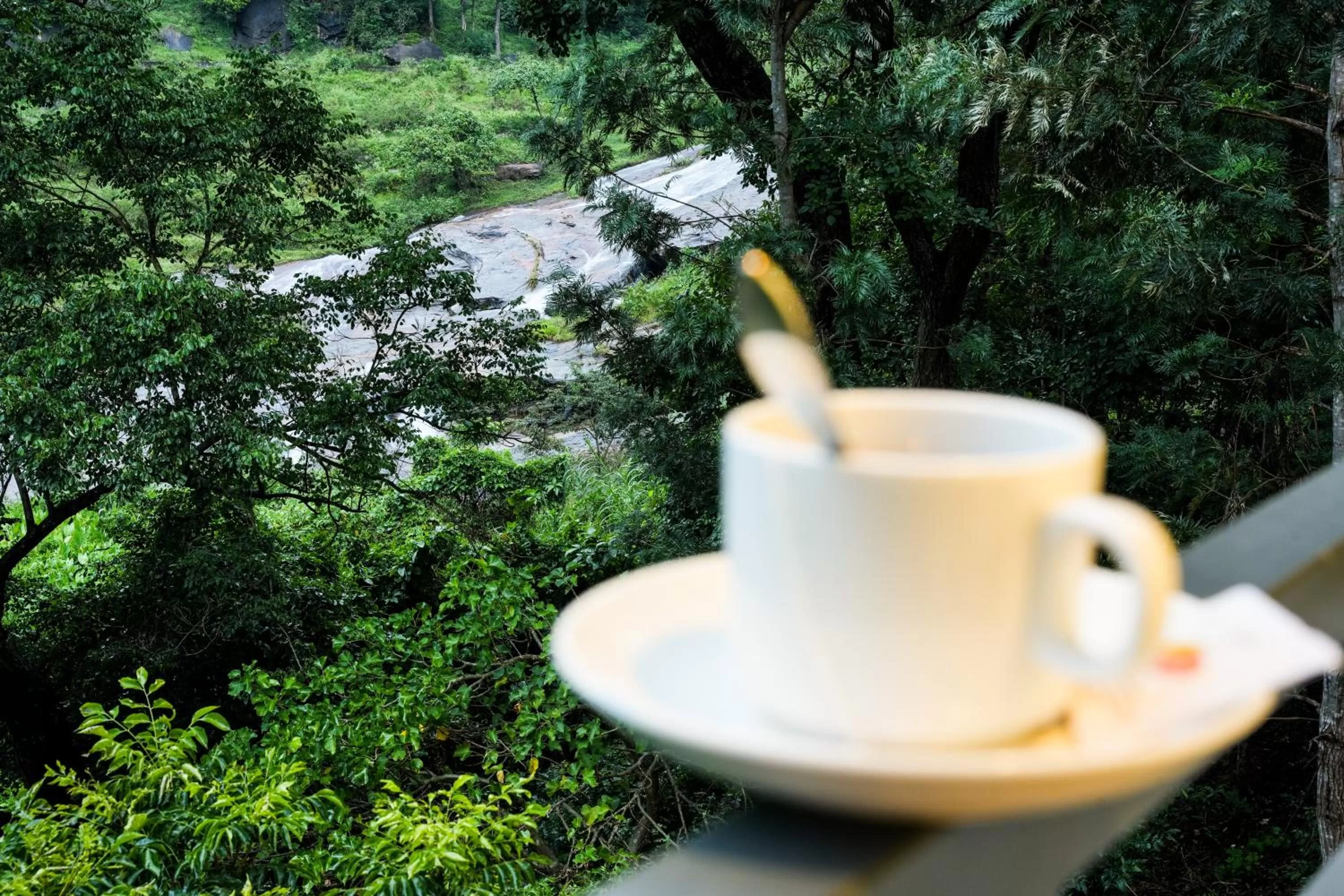 View (from property/room) in Misty Range Resorts