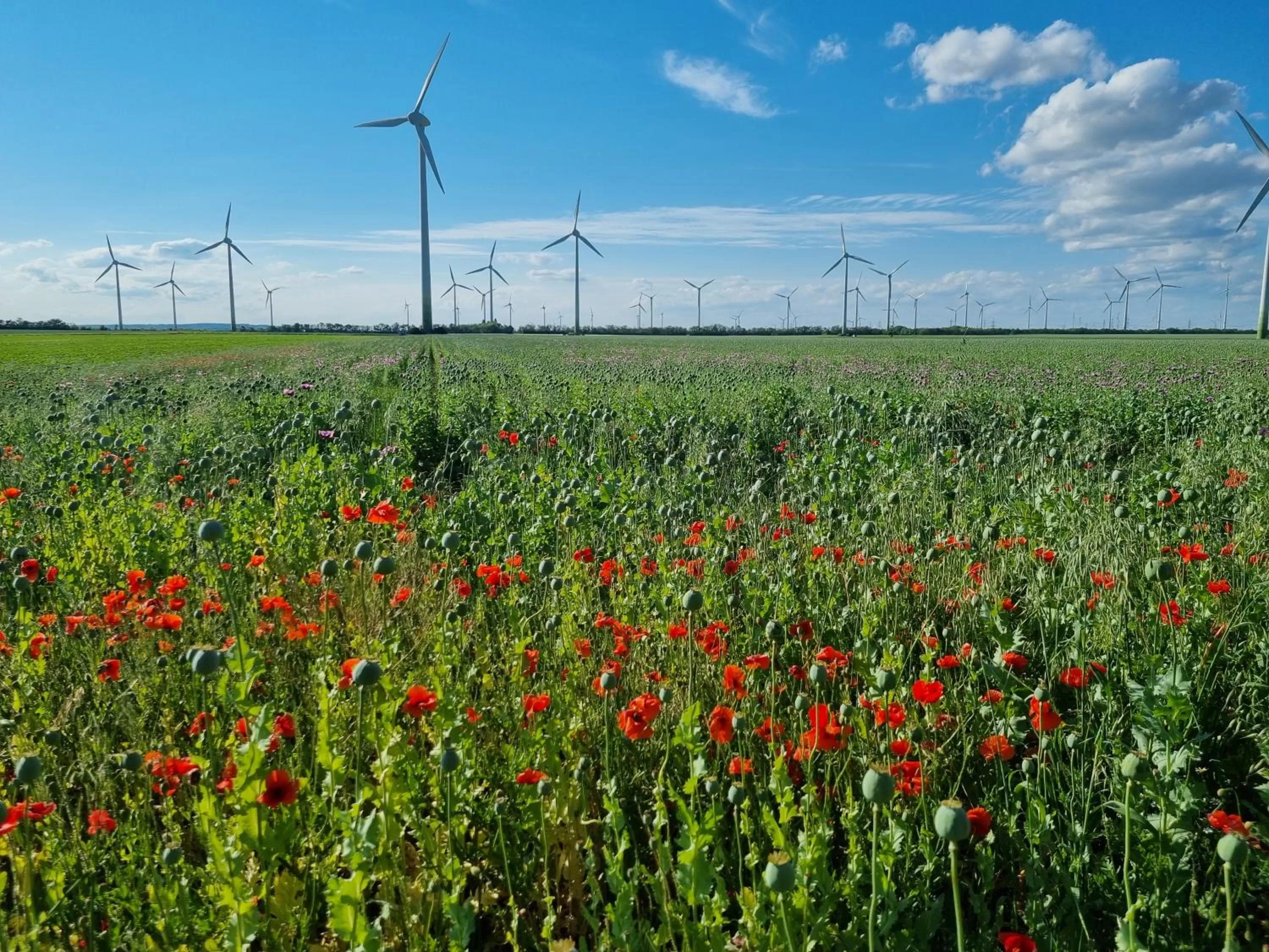 Nearby landmark in BIRKENHOF - Tag und Nacht perfekt verbracht!