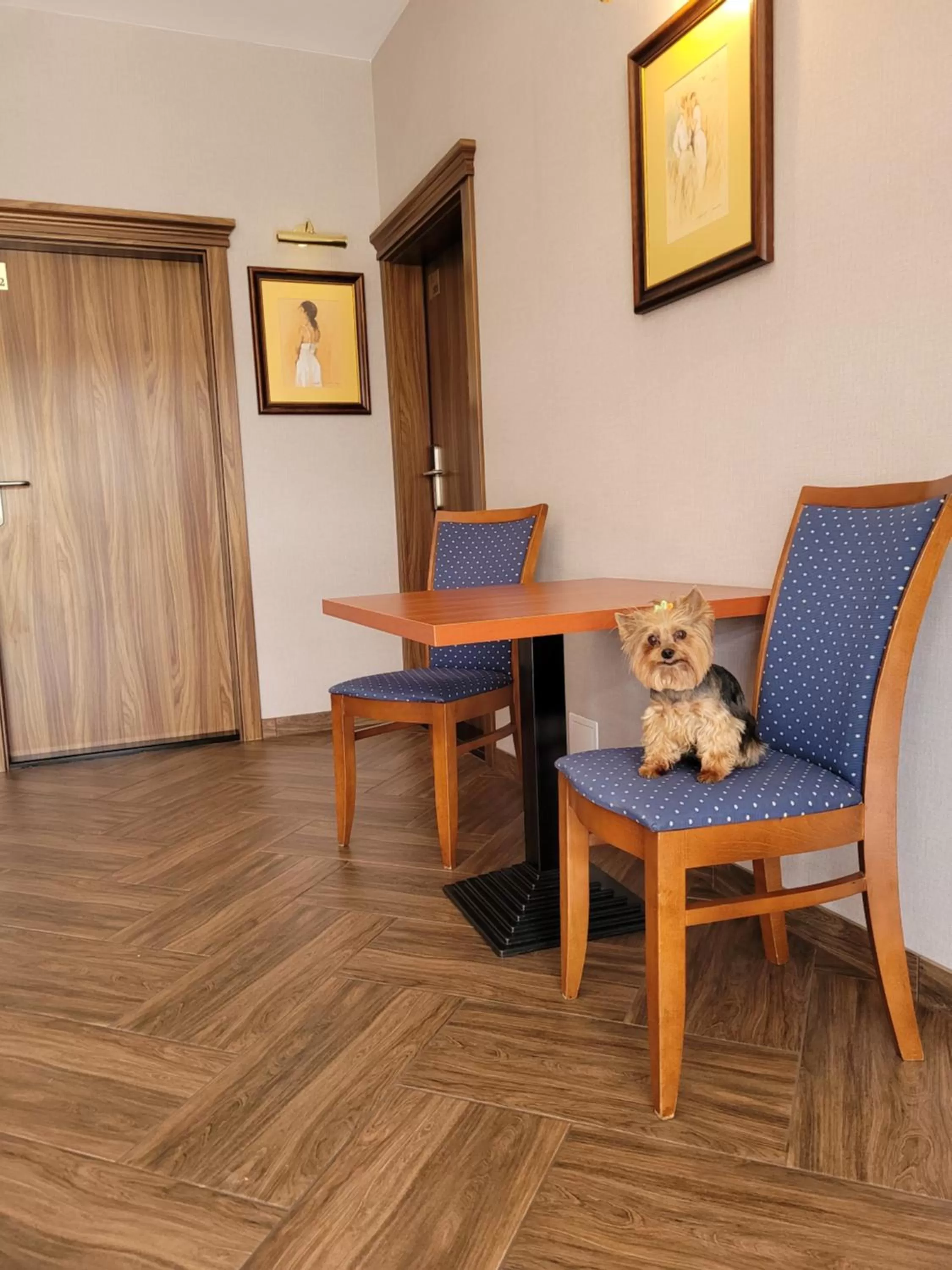 Virgo B&B Biznes Rumia