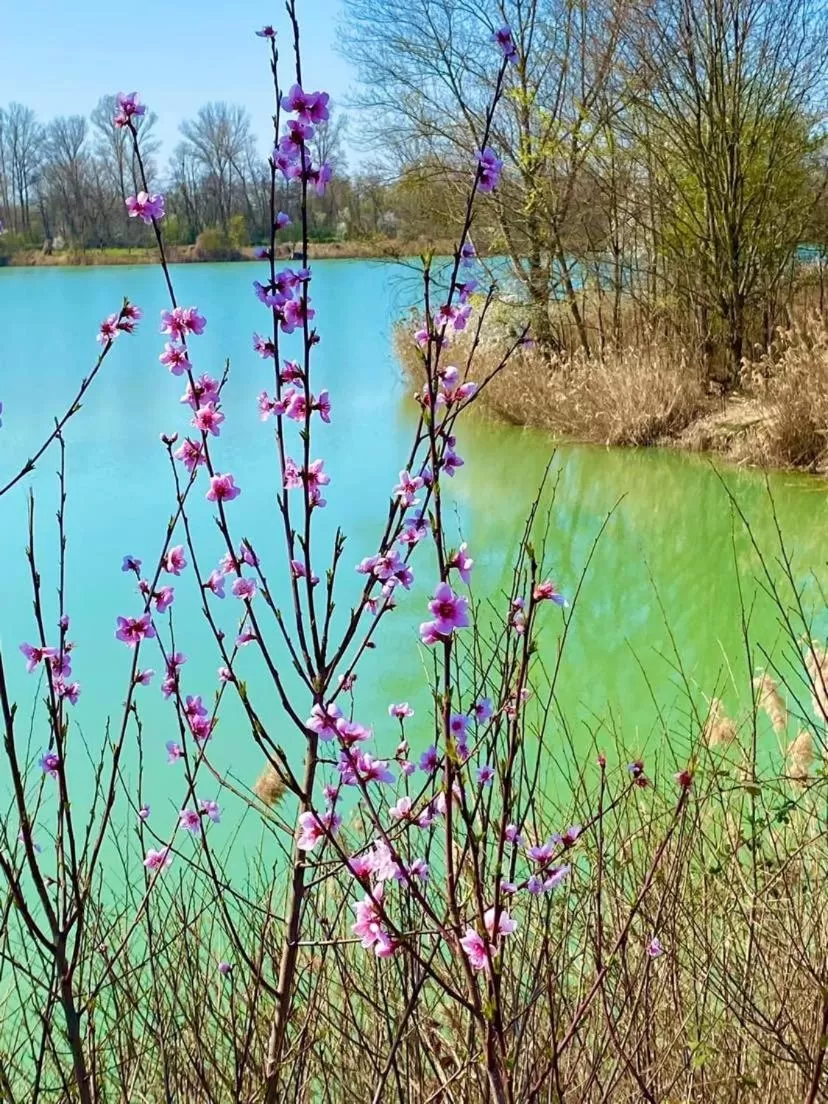 Fishing, Lake View in La Casa di Valeria - Modena