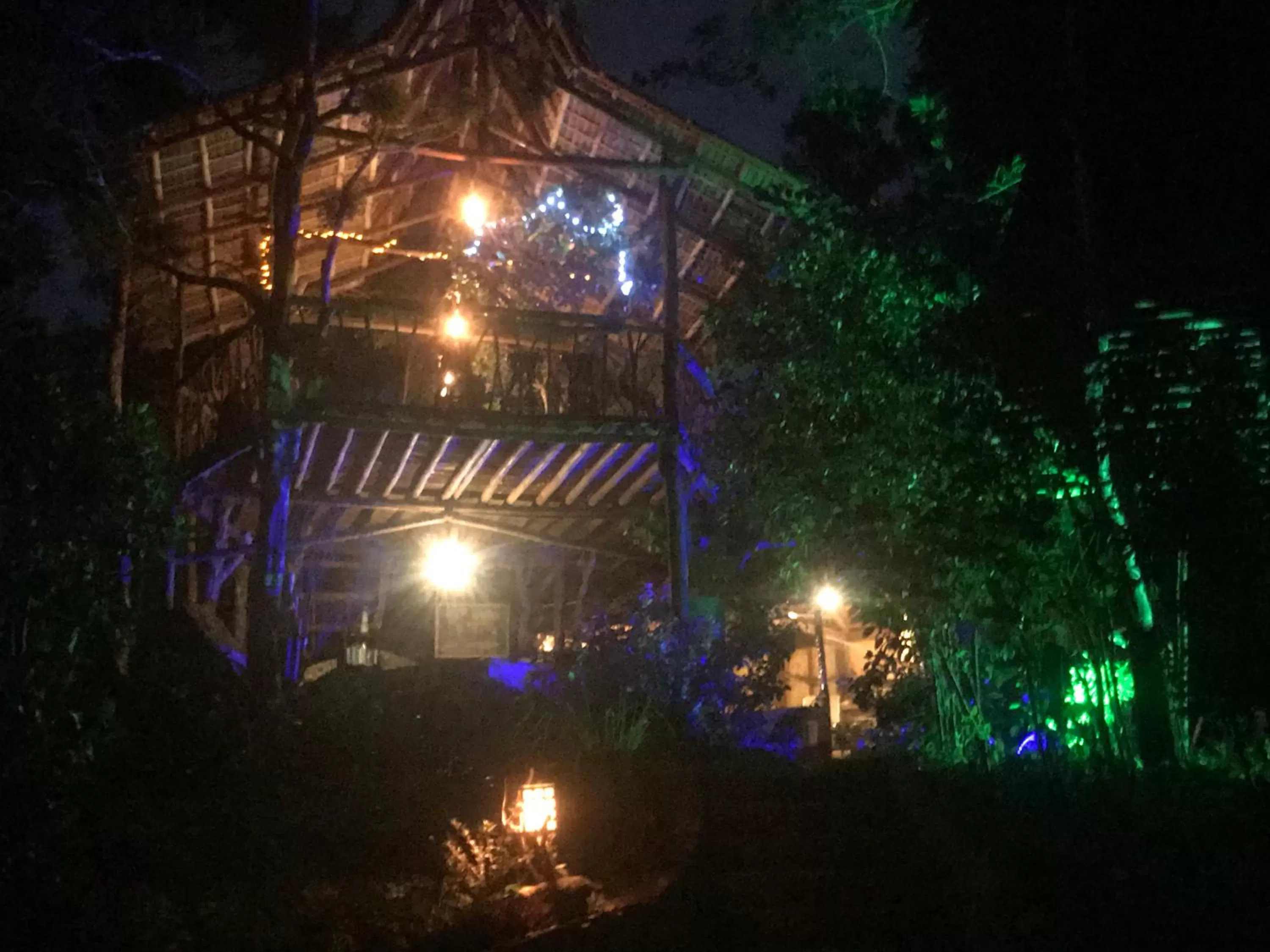 Sanctuaria Treehouses Busuanga