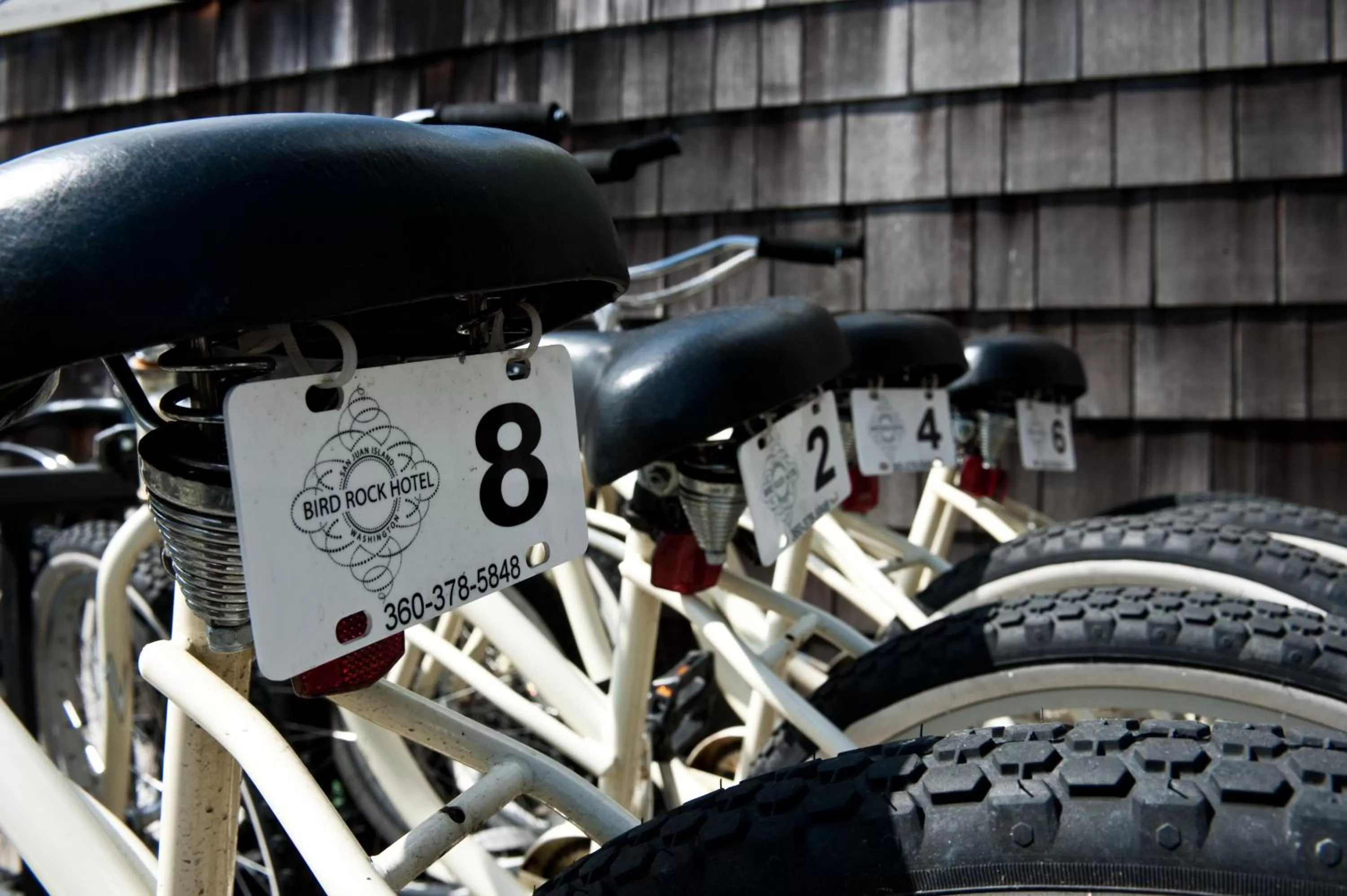 Cycling in Bird Rock Hotel