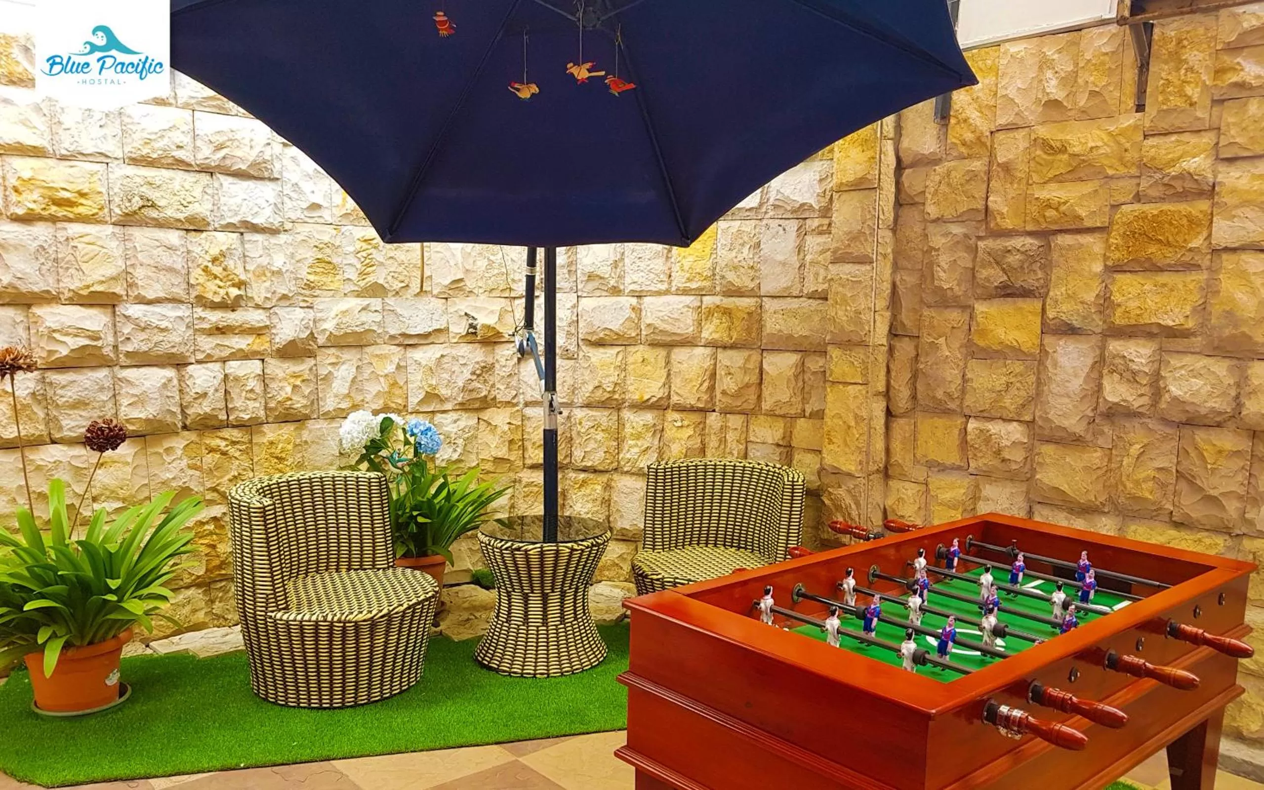 Entertainment in Hostal Blue Pacific