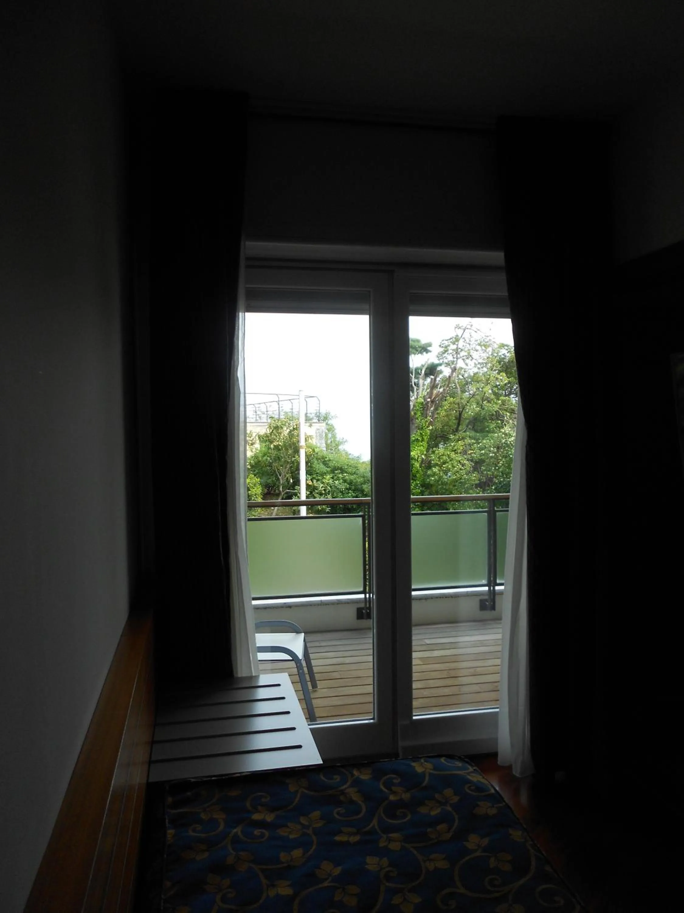 Balcony/Terrace in Hotel Le Roi