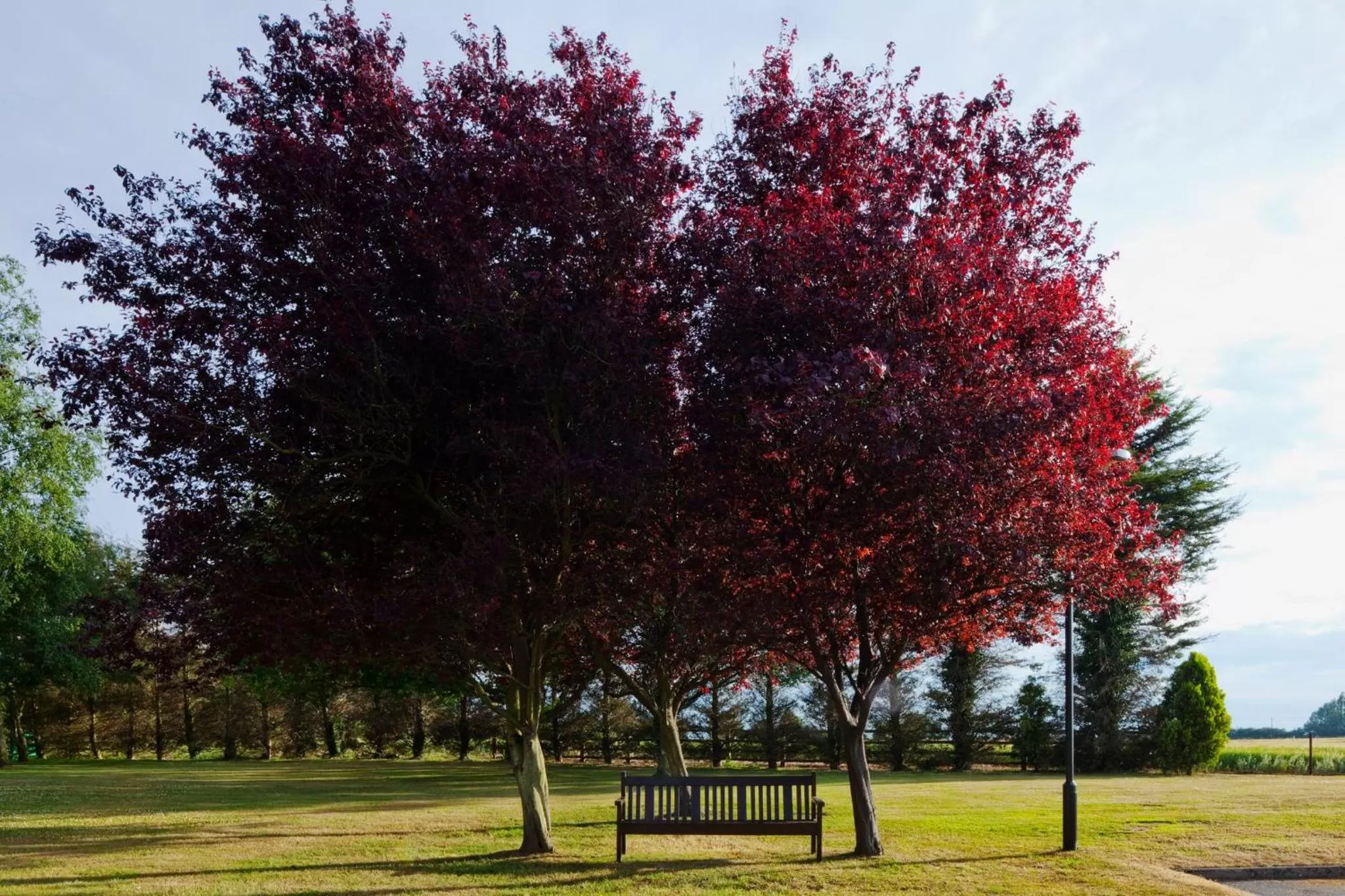 Other in Holiday Inn Ipswich by IHG