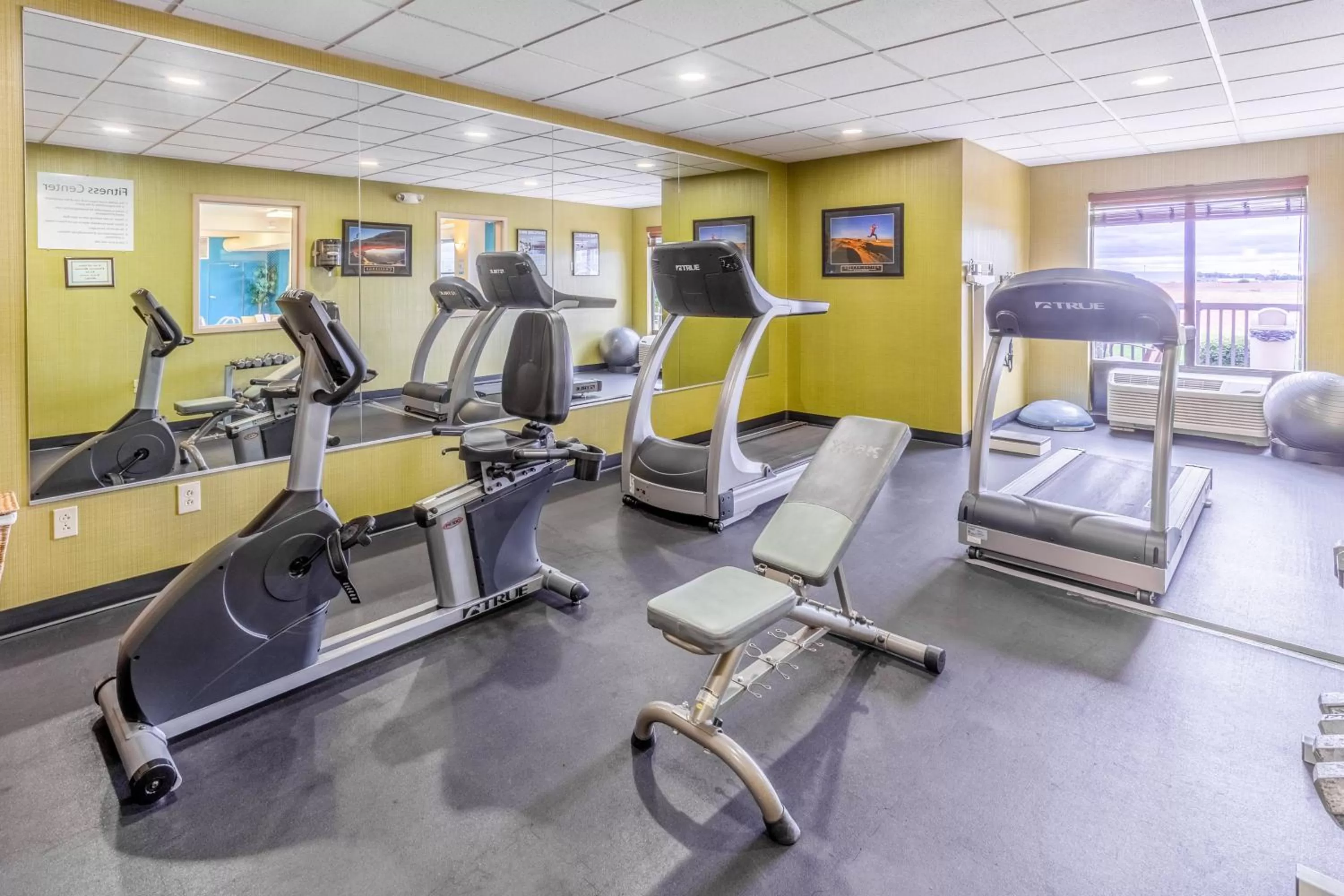 Fitness centre/facilities in Holiday Inn Express Hotel & Suites Bowling Green by IHG