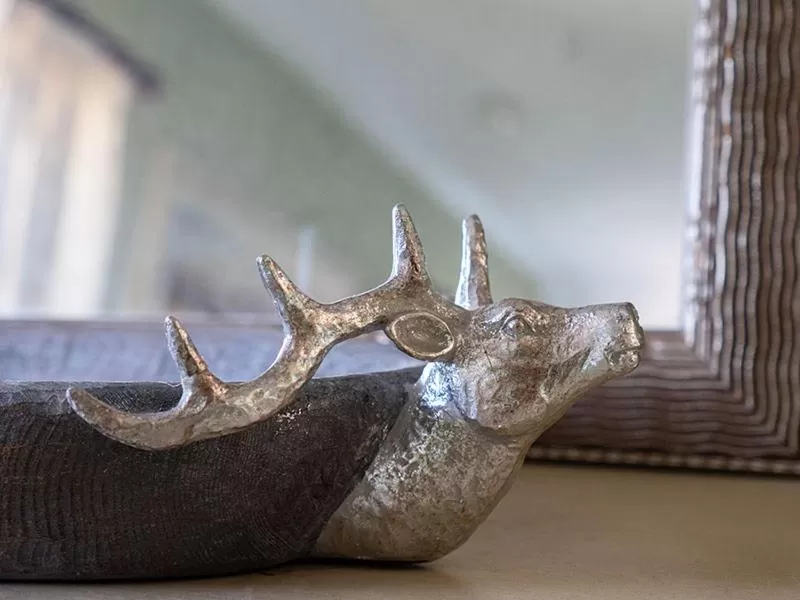 Other Animals in The Stag's Head Inn