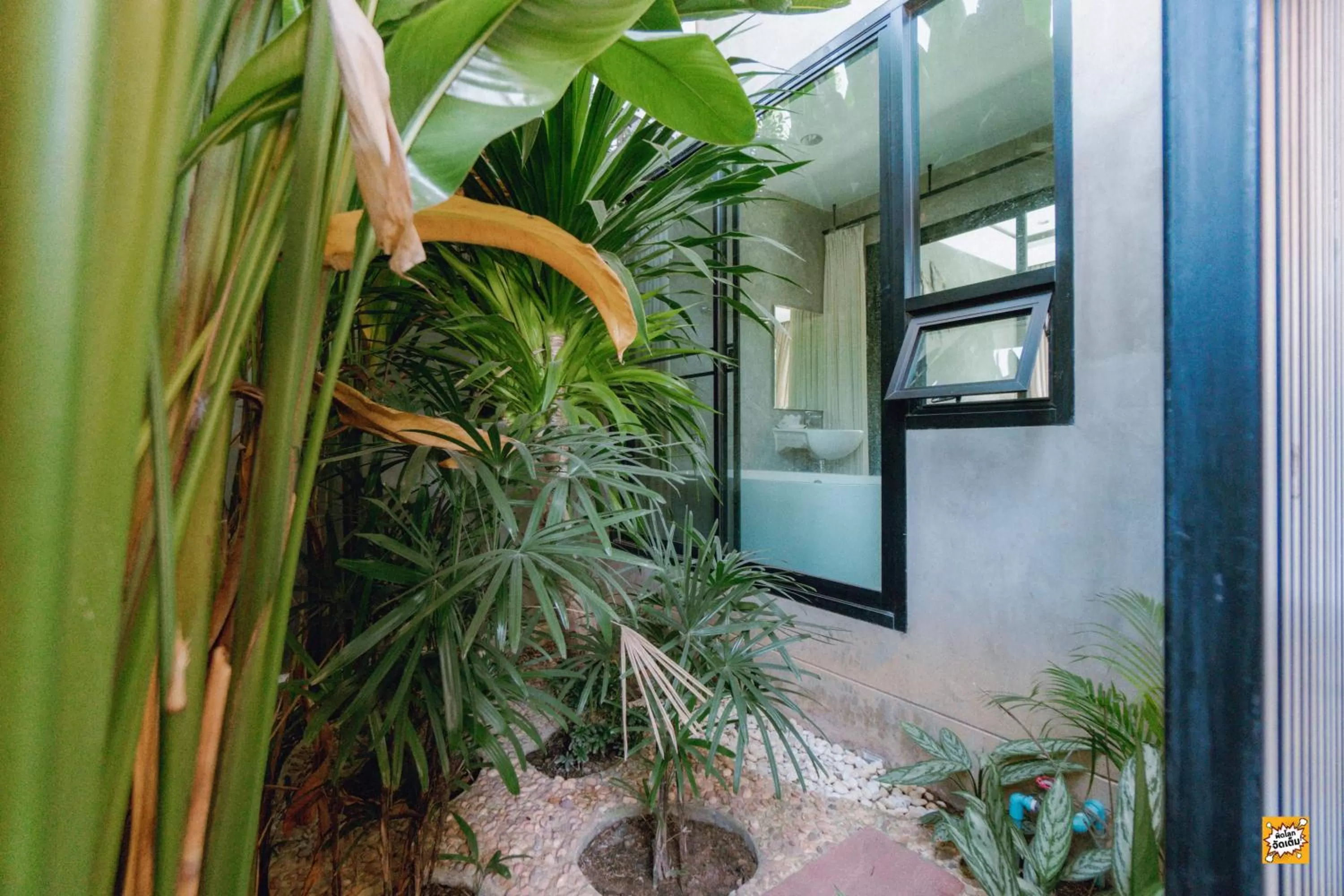 Property building in Blue River Resort