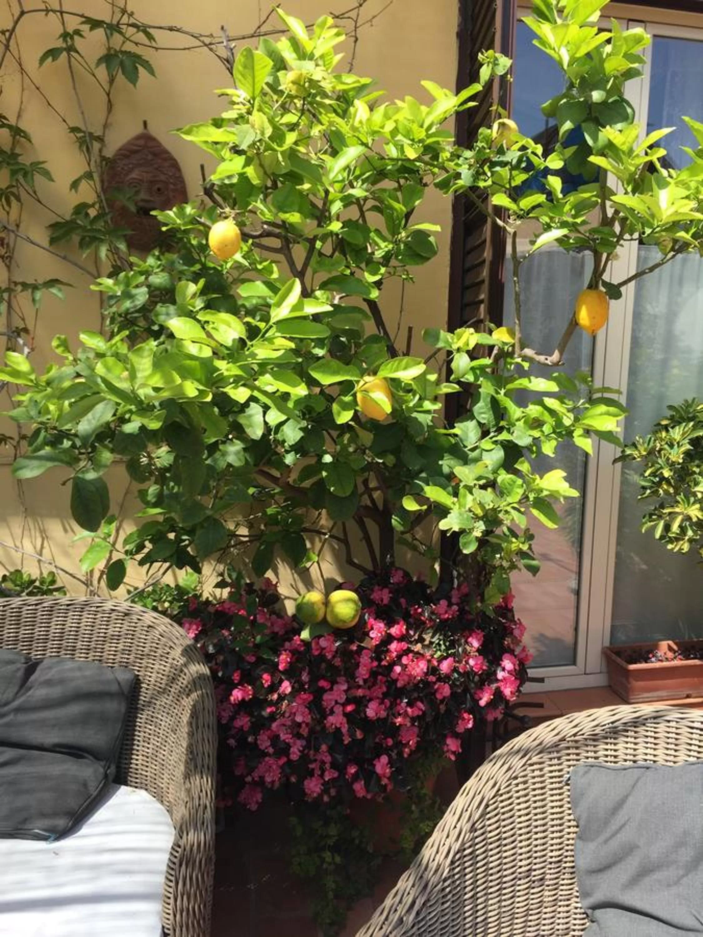 Patio in Terrazza Duomo