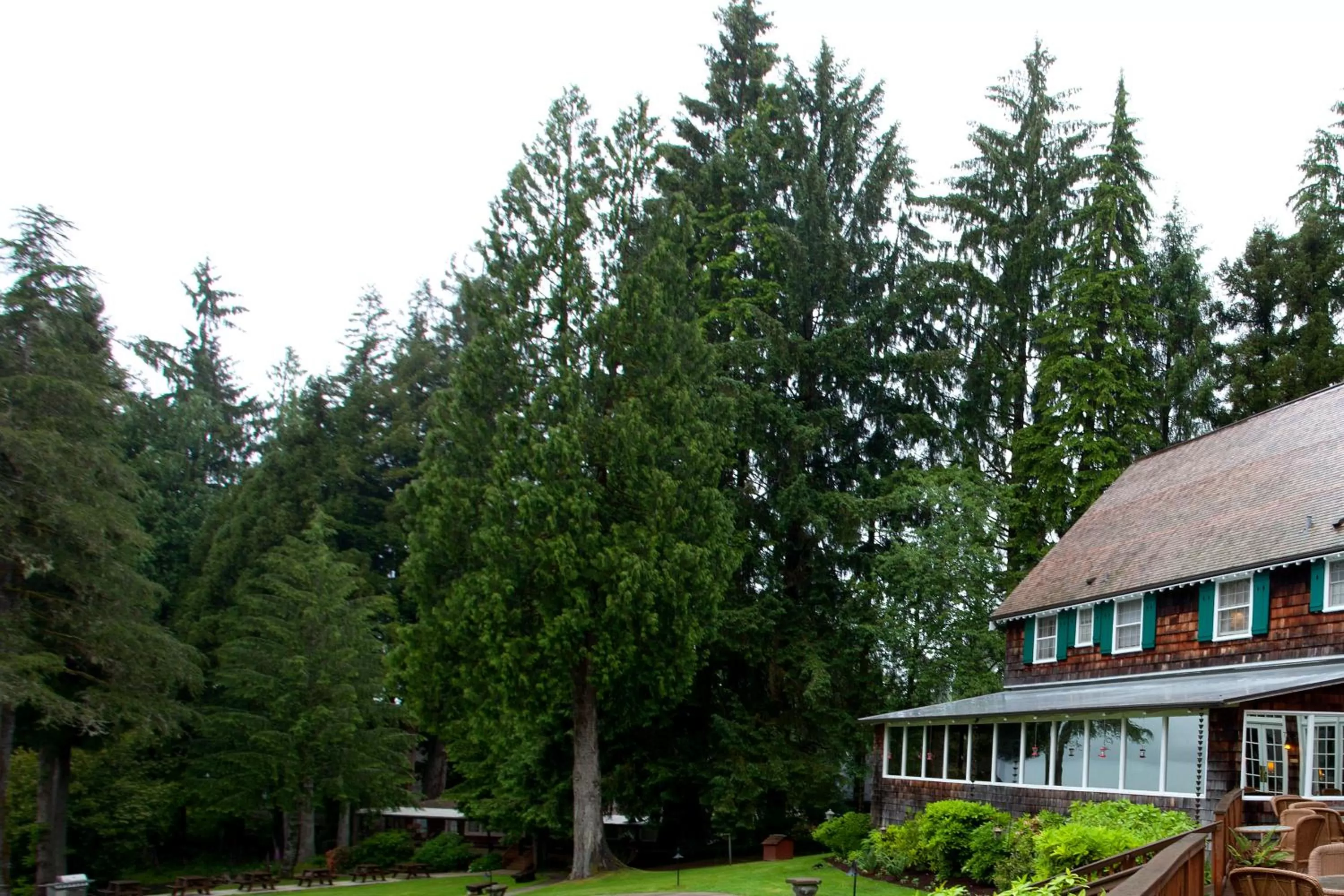 Property building in Lake Quinault Lodge