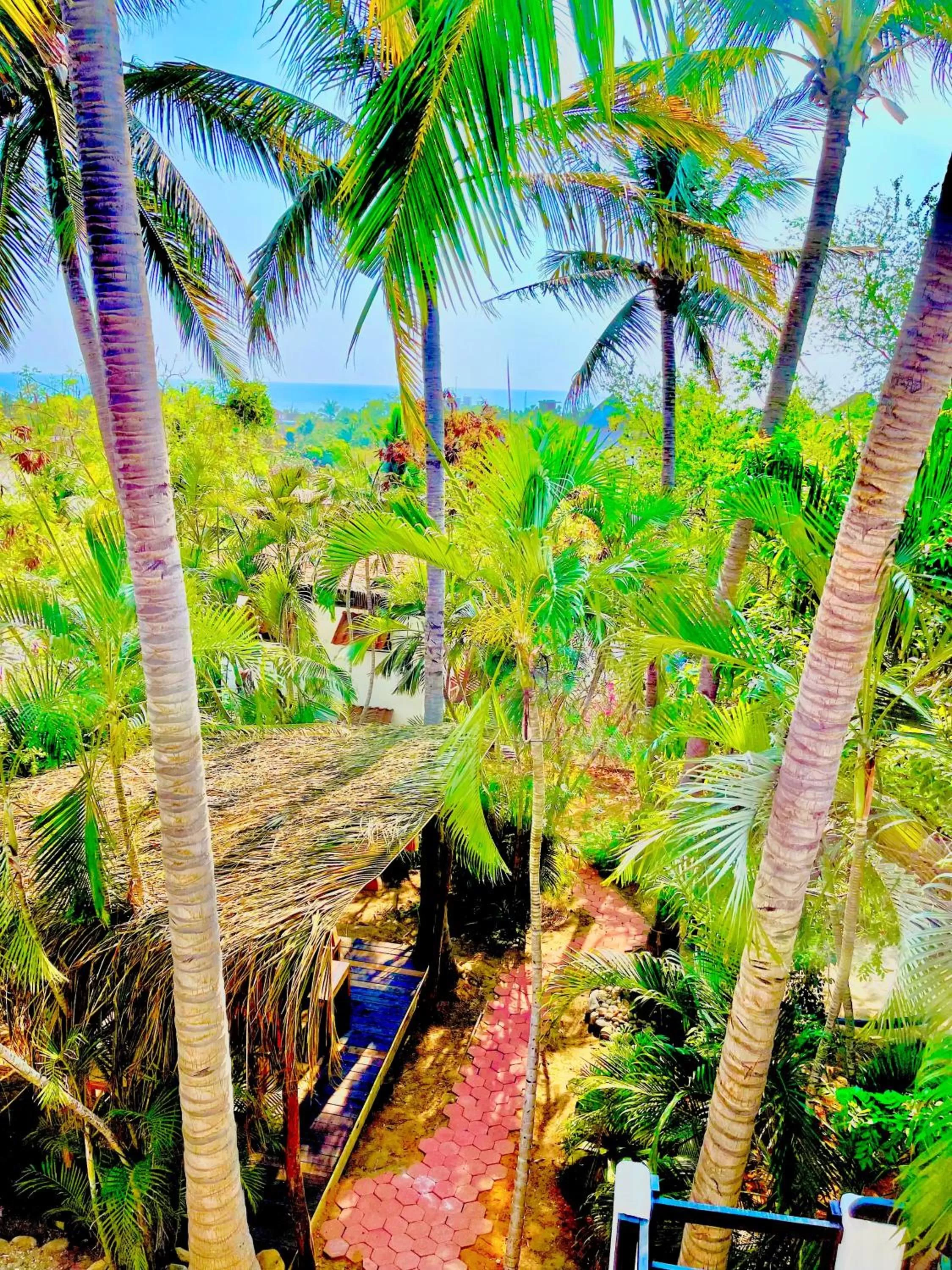 Garden in El Eden Escondido