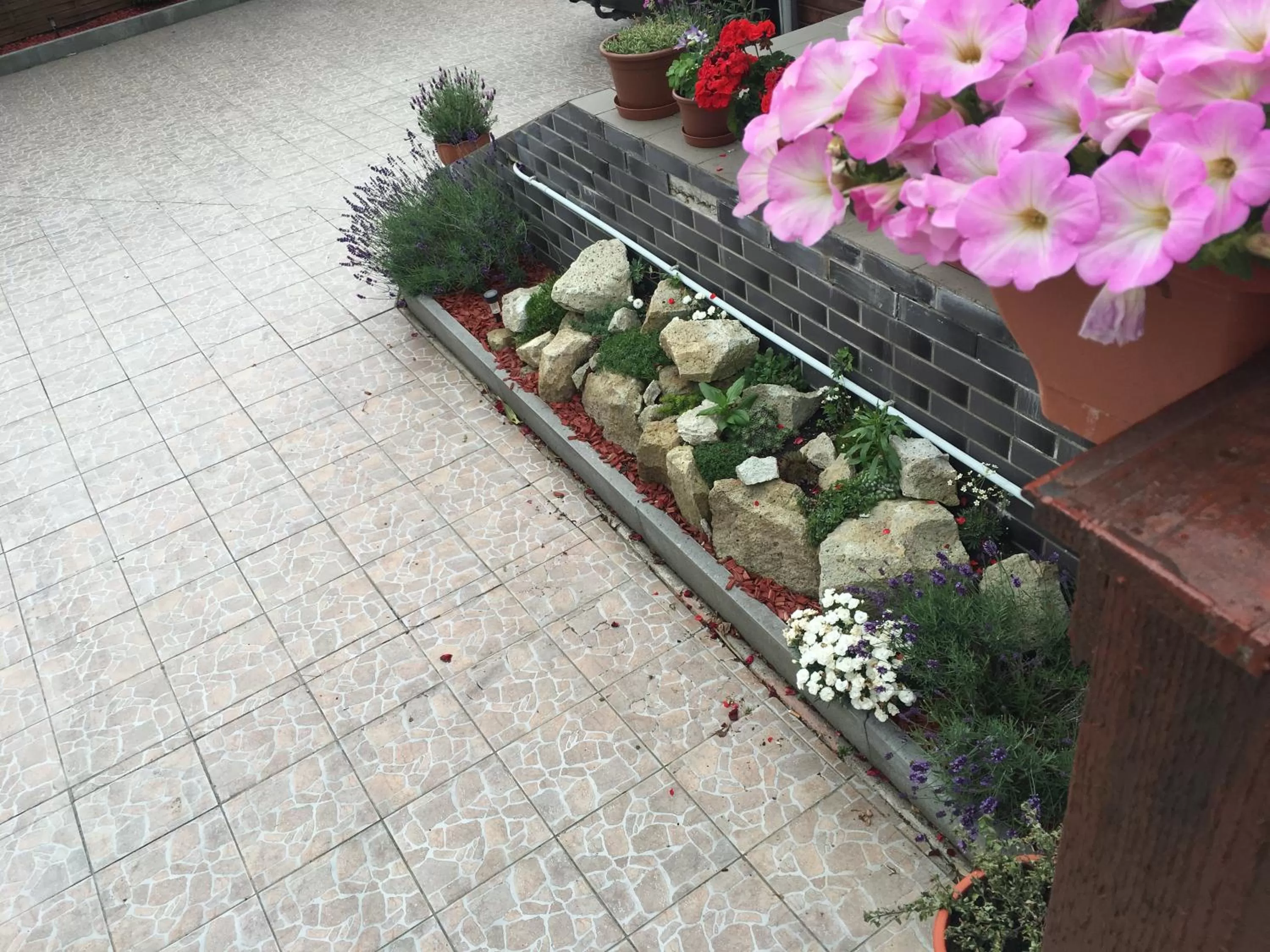 Abszolút Hotel és Panzió