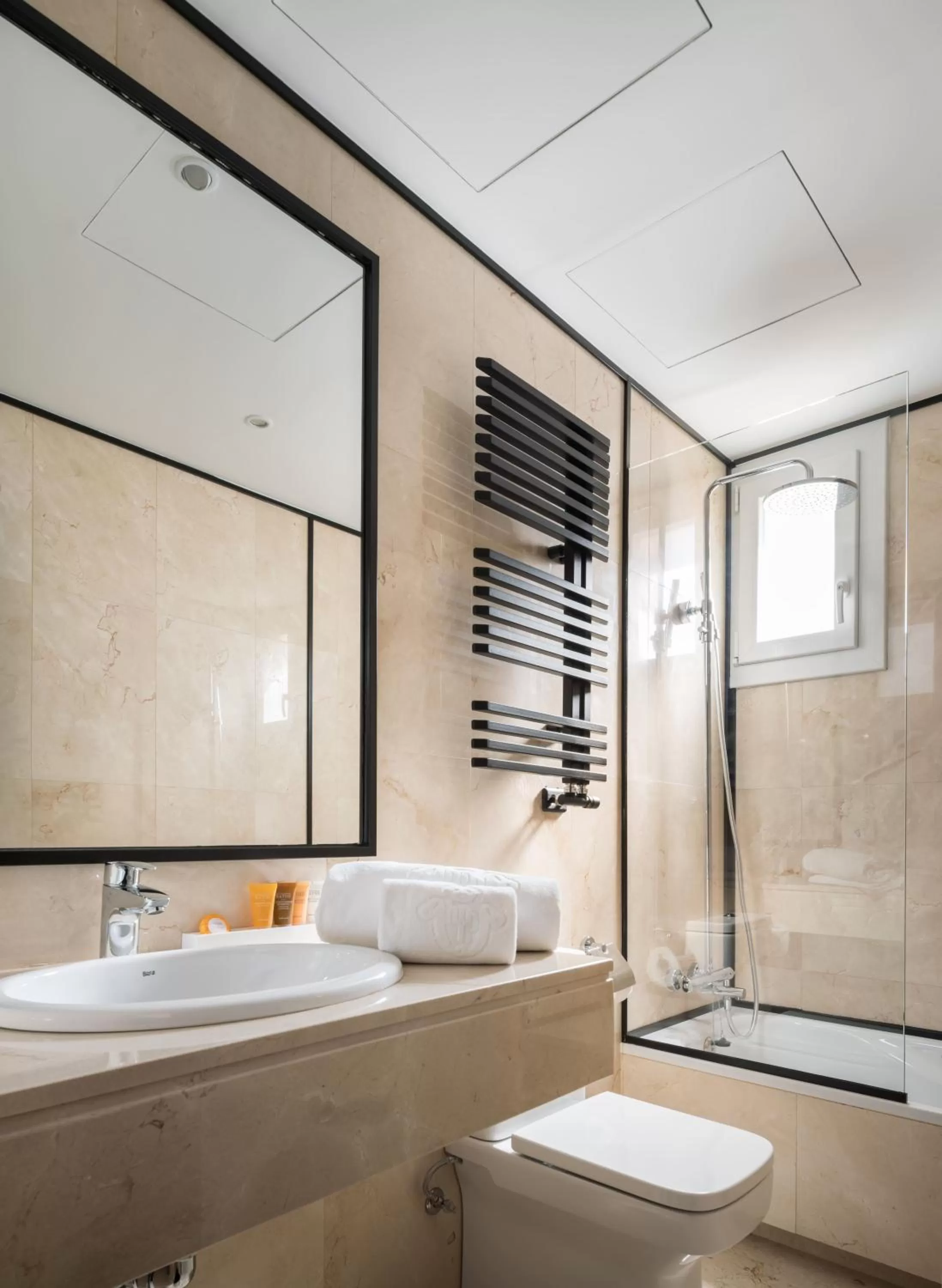 Toilet in Principe Pio