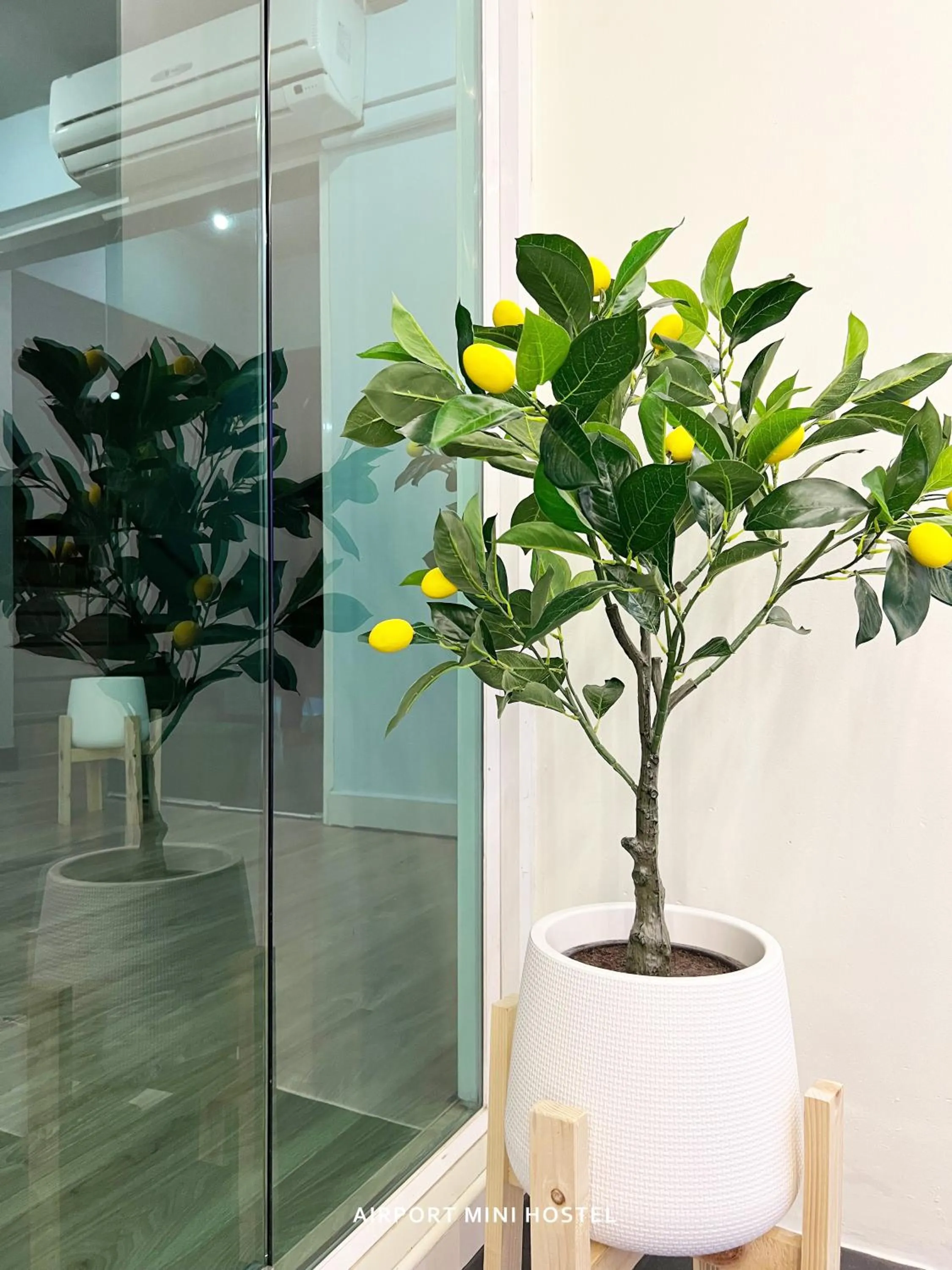 Garden in Airport Mini Hostel at Don Muang Airport