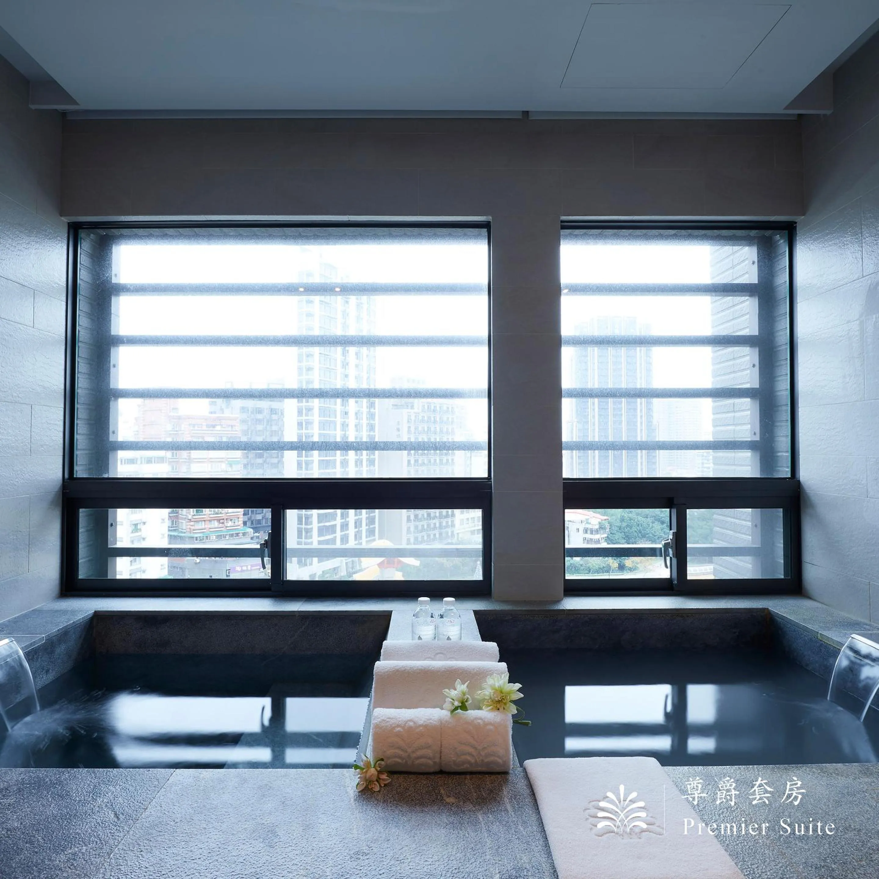 Toilet in Hotel Royal Beitou