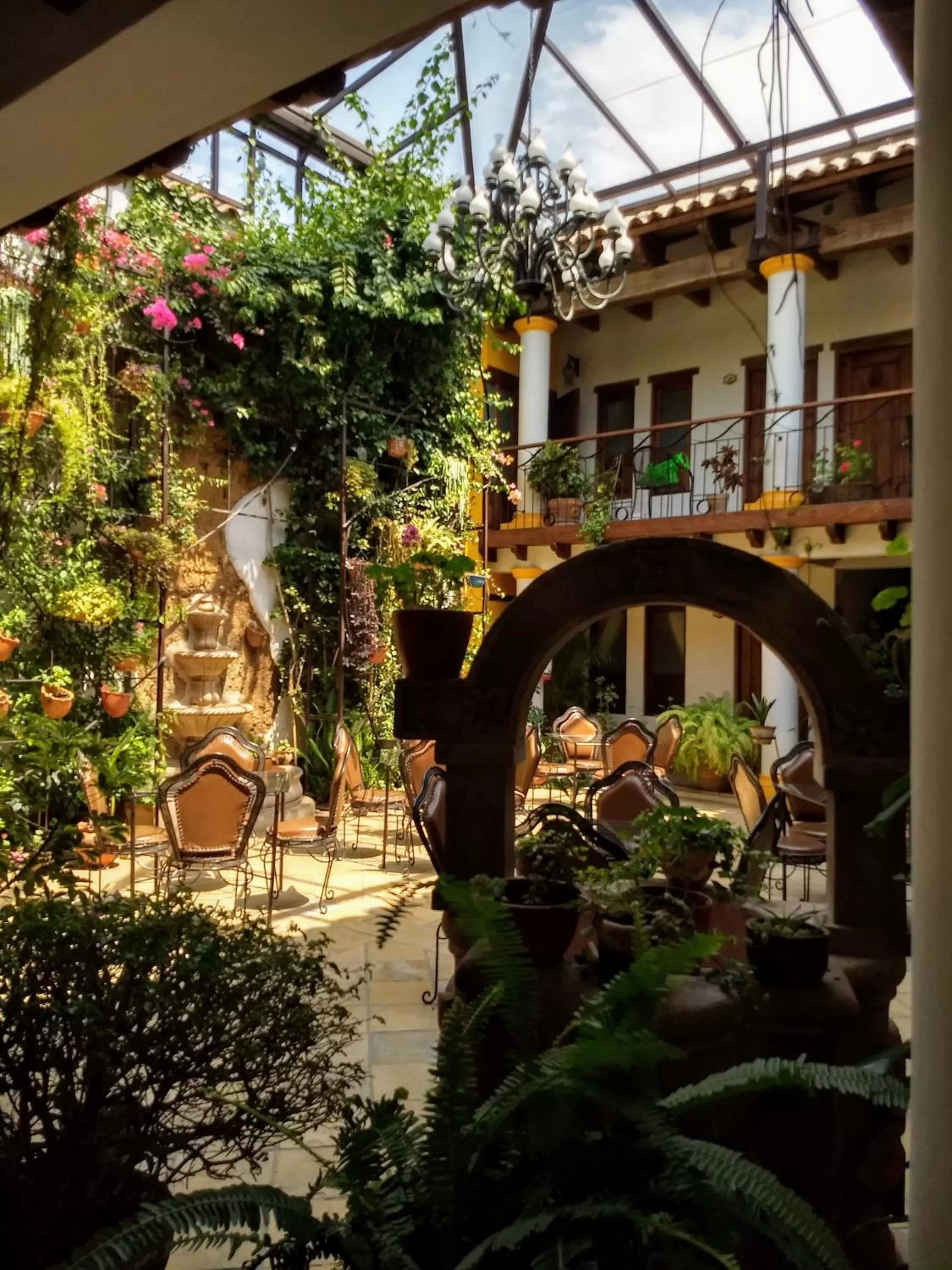 Garden in Hotel Grand Maria