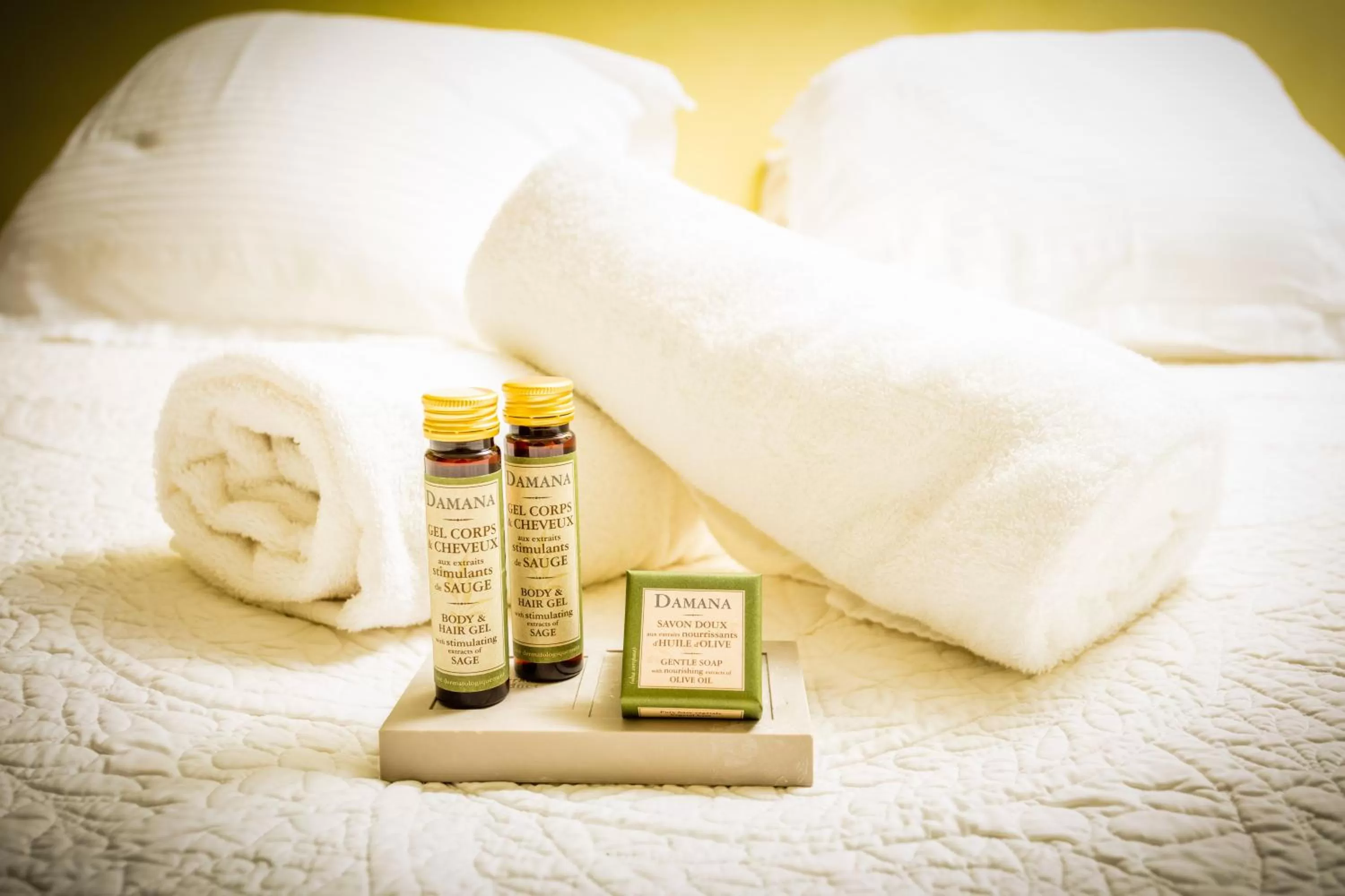 Area and facilities in Château le Bouïs