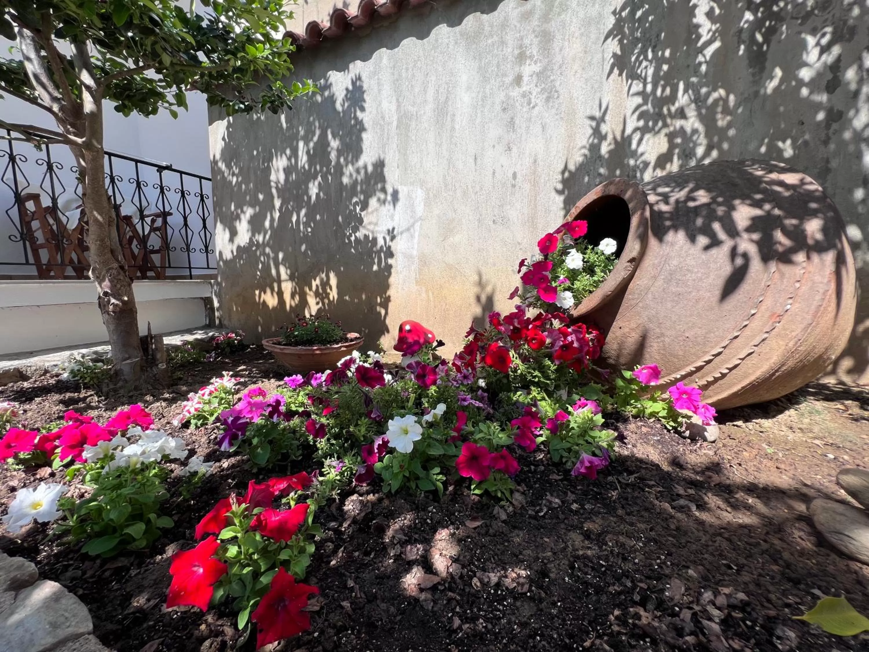 Garden in ATHANASIA APARTMENTS
