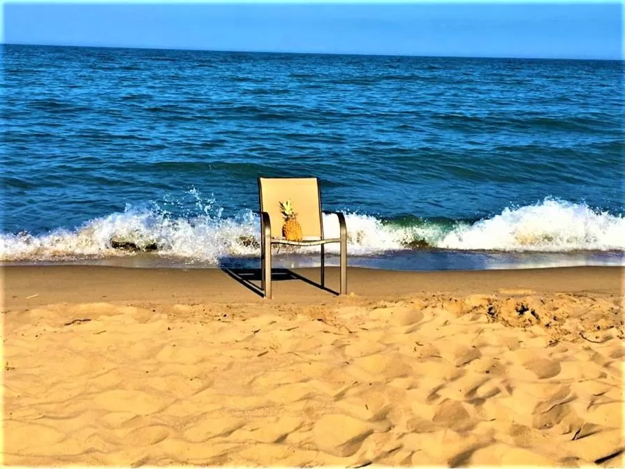 Day in Gold Coast Family Cottages