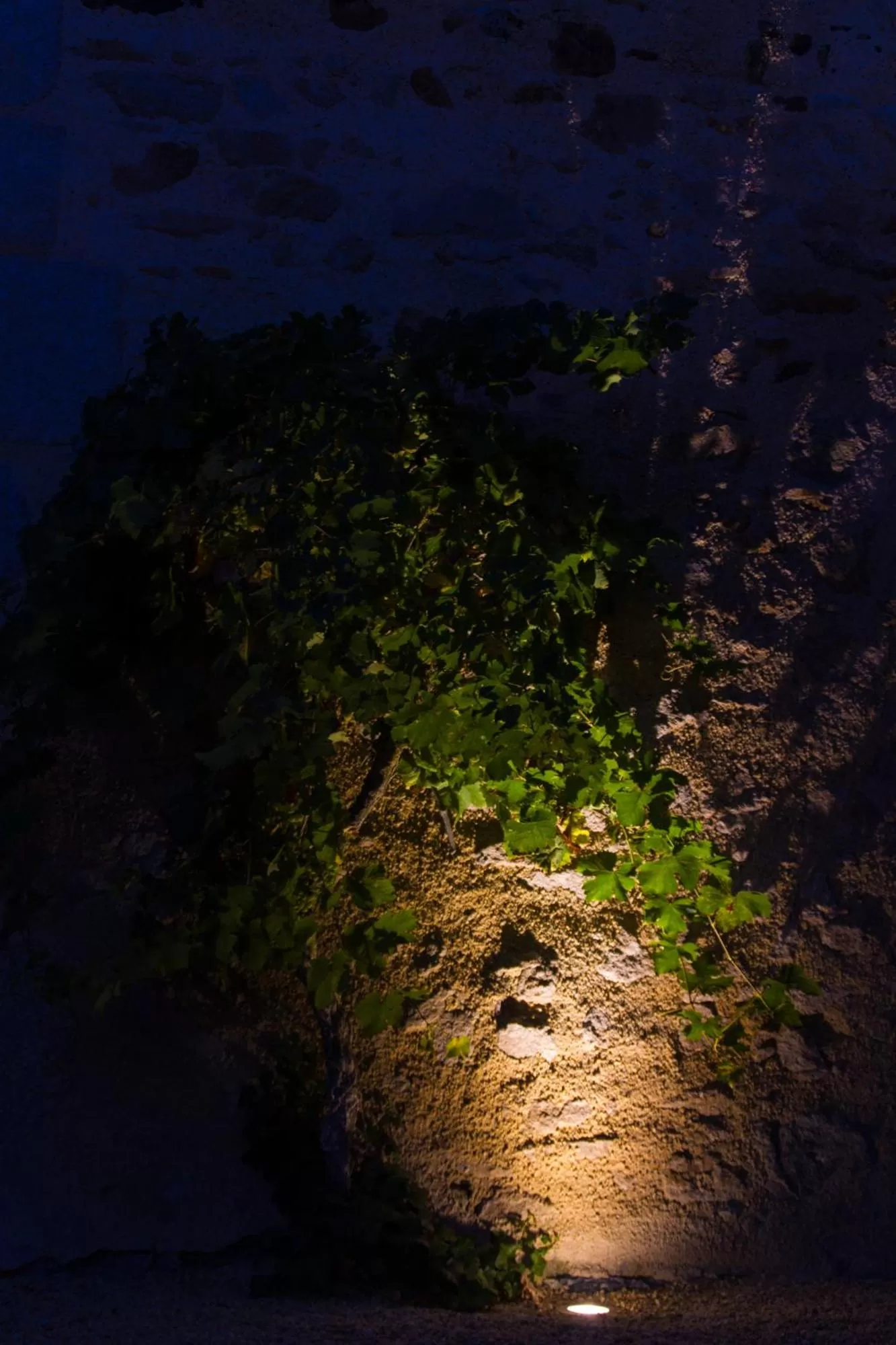 Facade/entrance in Le Puy Carmin - Chambre d'hôtes avec jacuzzi