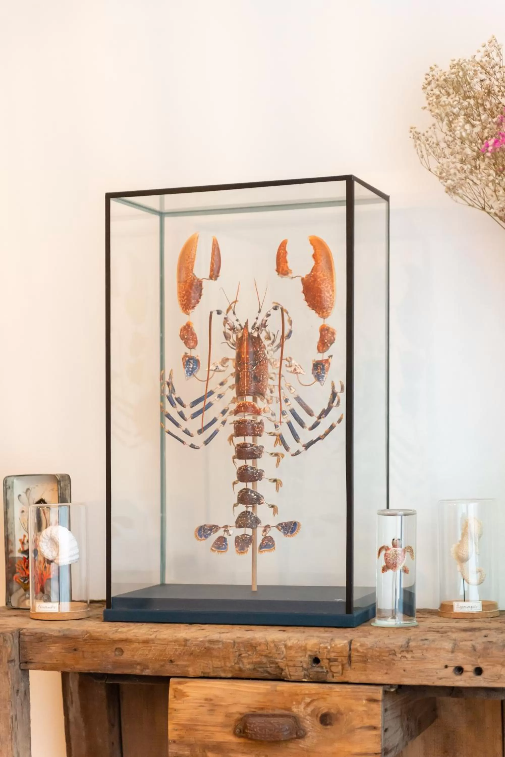 Decorative detail in Maison Triton et Porcelaine