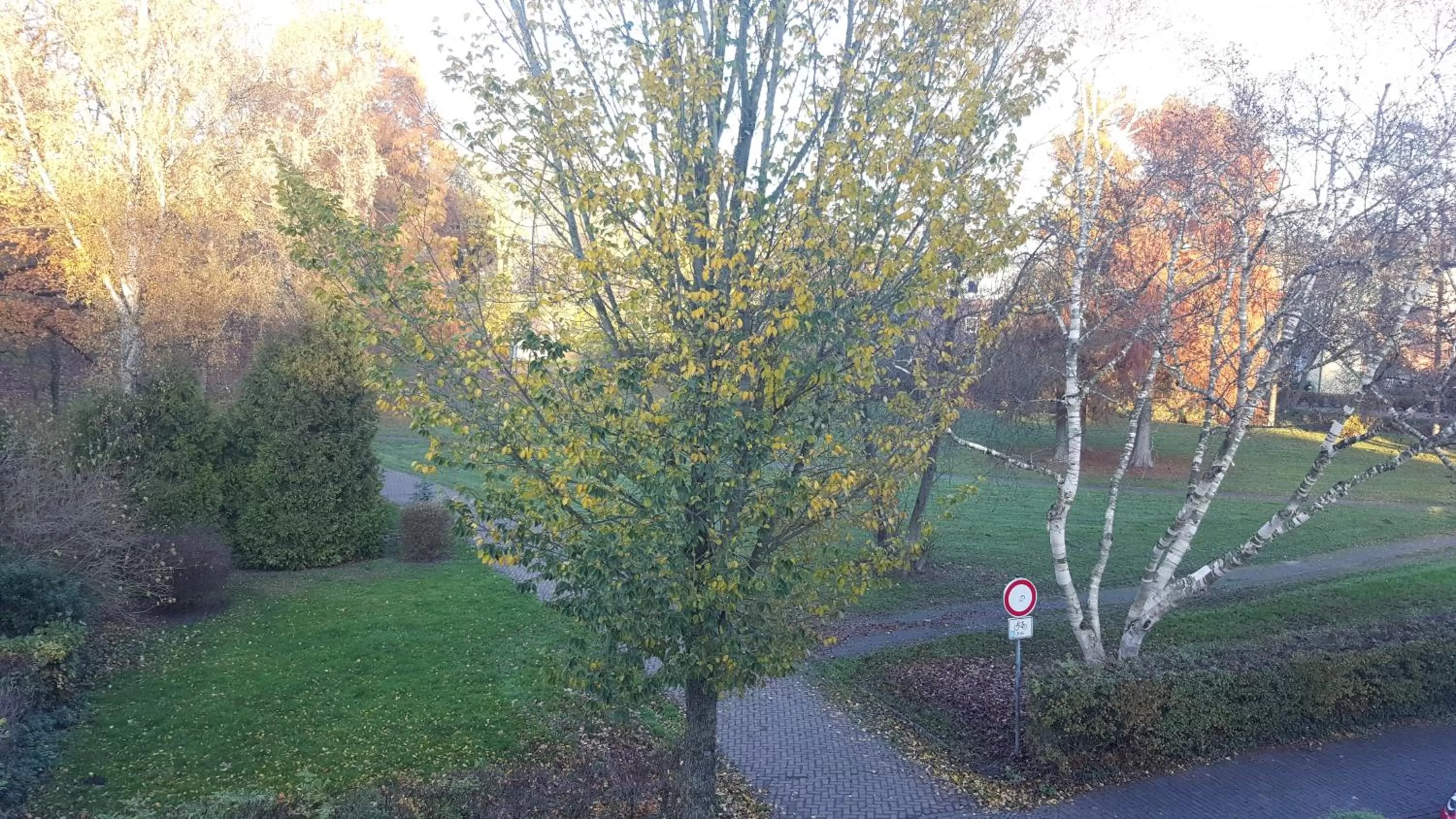 Natural landscape in Faldernpoort