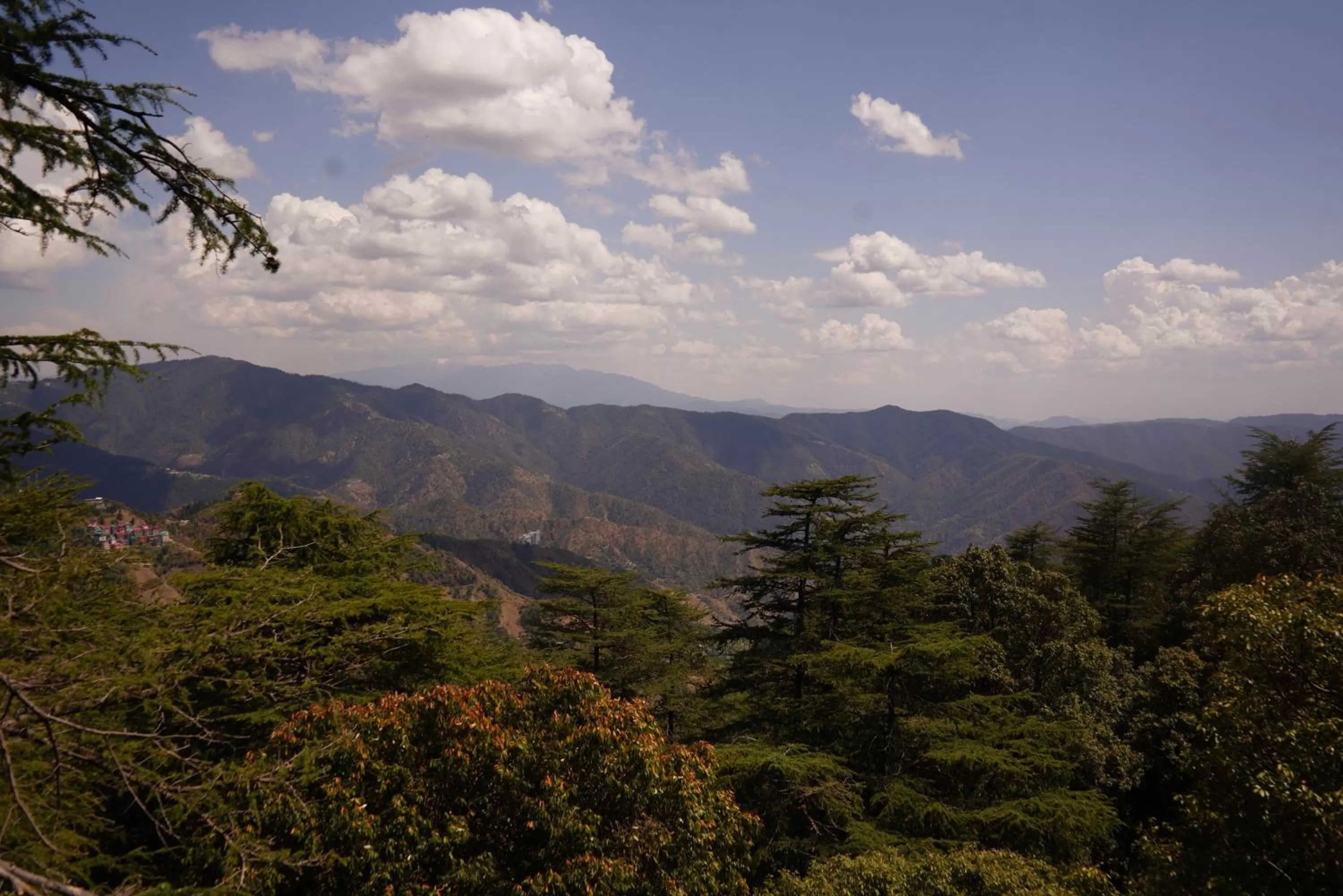 View (from property/room) in Jakhu Vibes