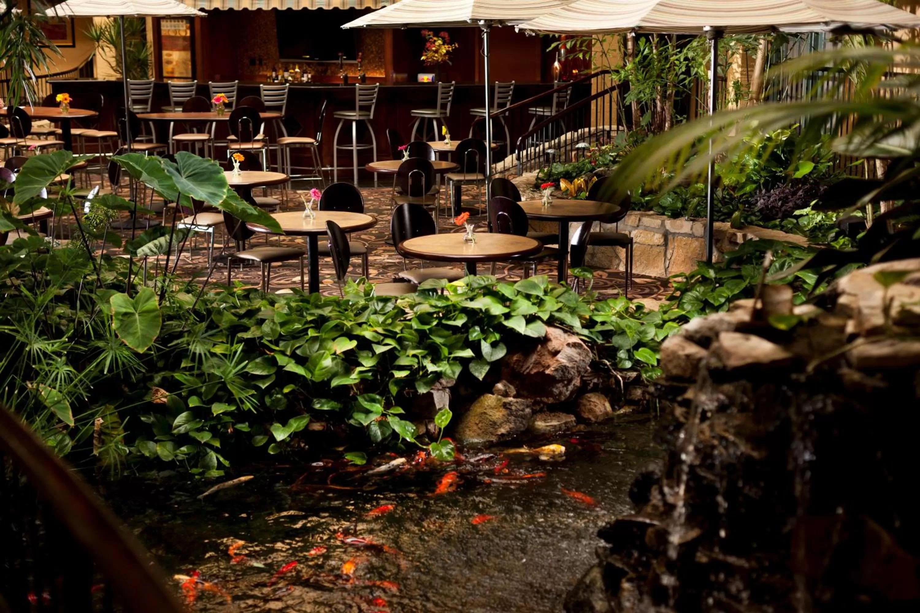 Lobby or reception in Embassy Suites Lubbock