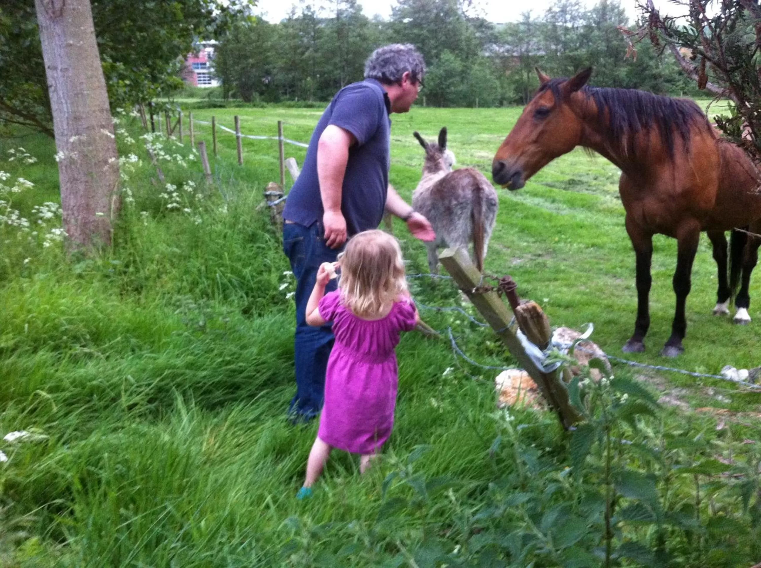 Garden in Auberge du Manoir d'Archelles