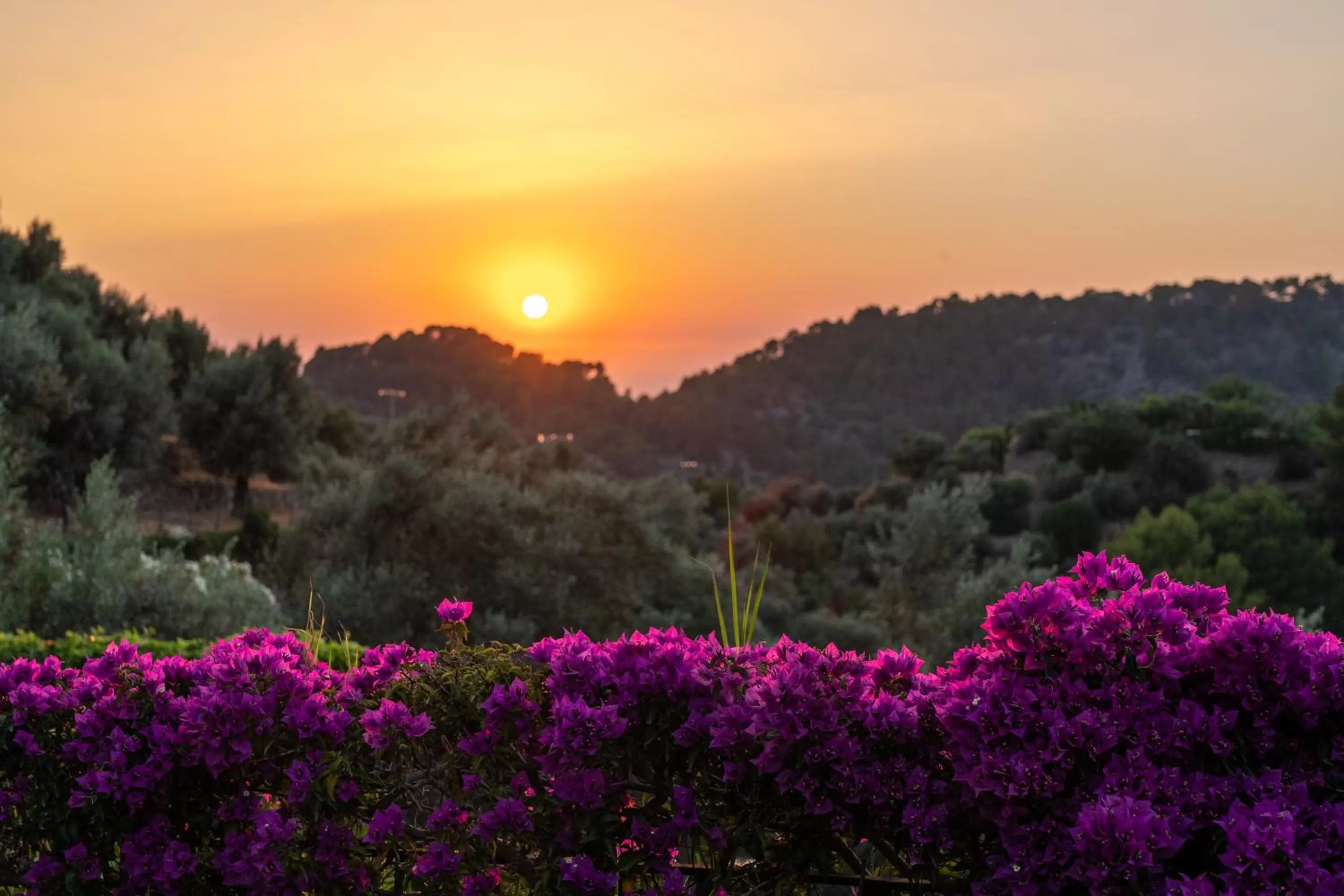 Sea view in Ca's Xorc Luxury Retreat - ADULTS ONLY