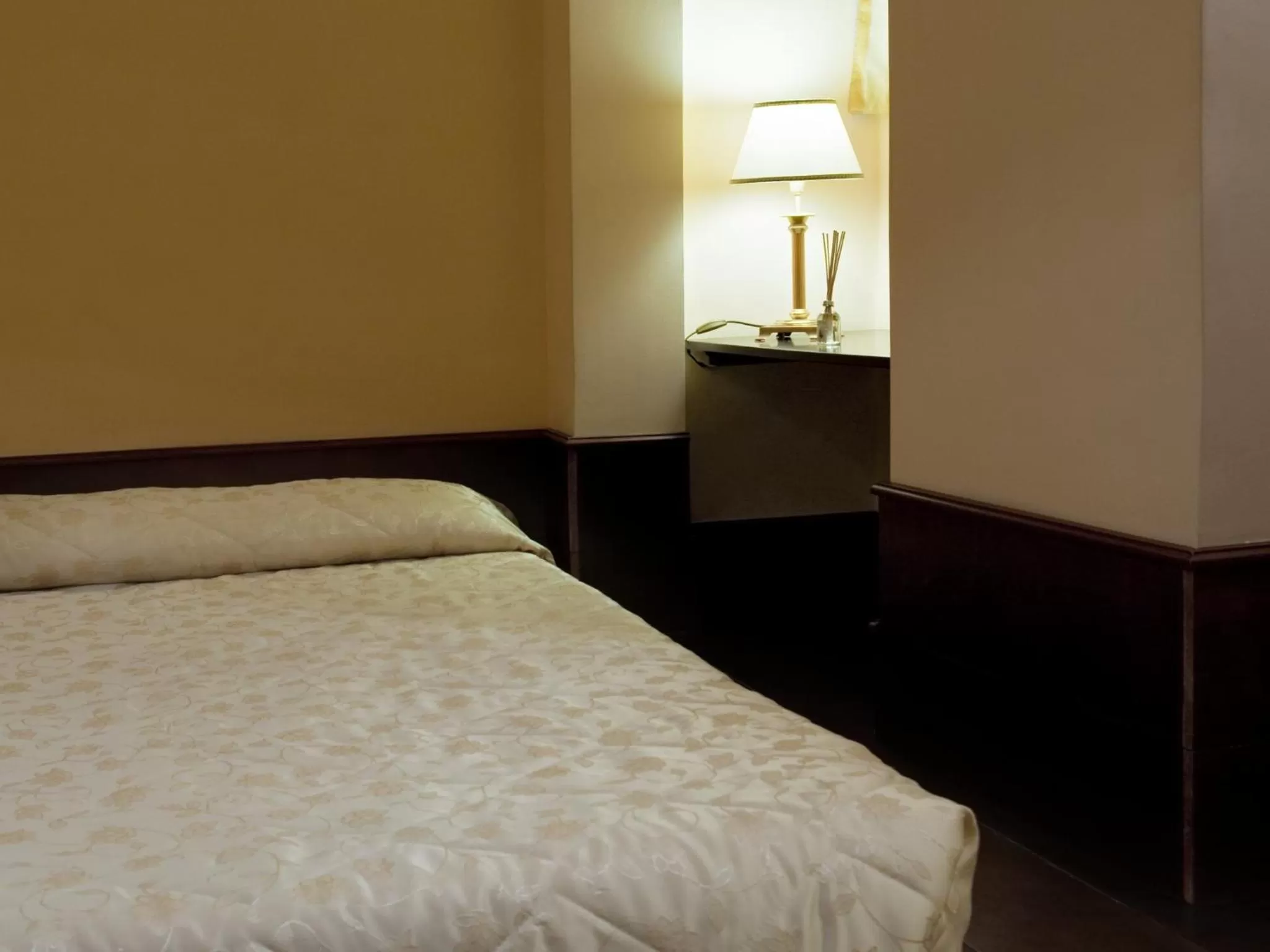 Basic Room - single occupancy in Hotel Manganelli Palace