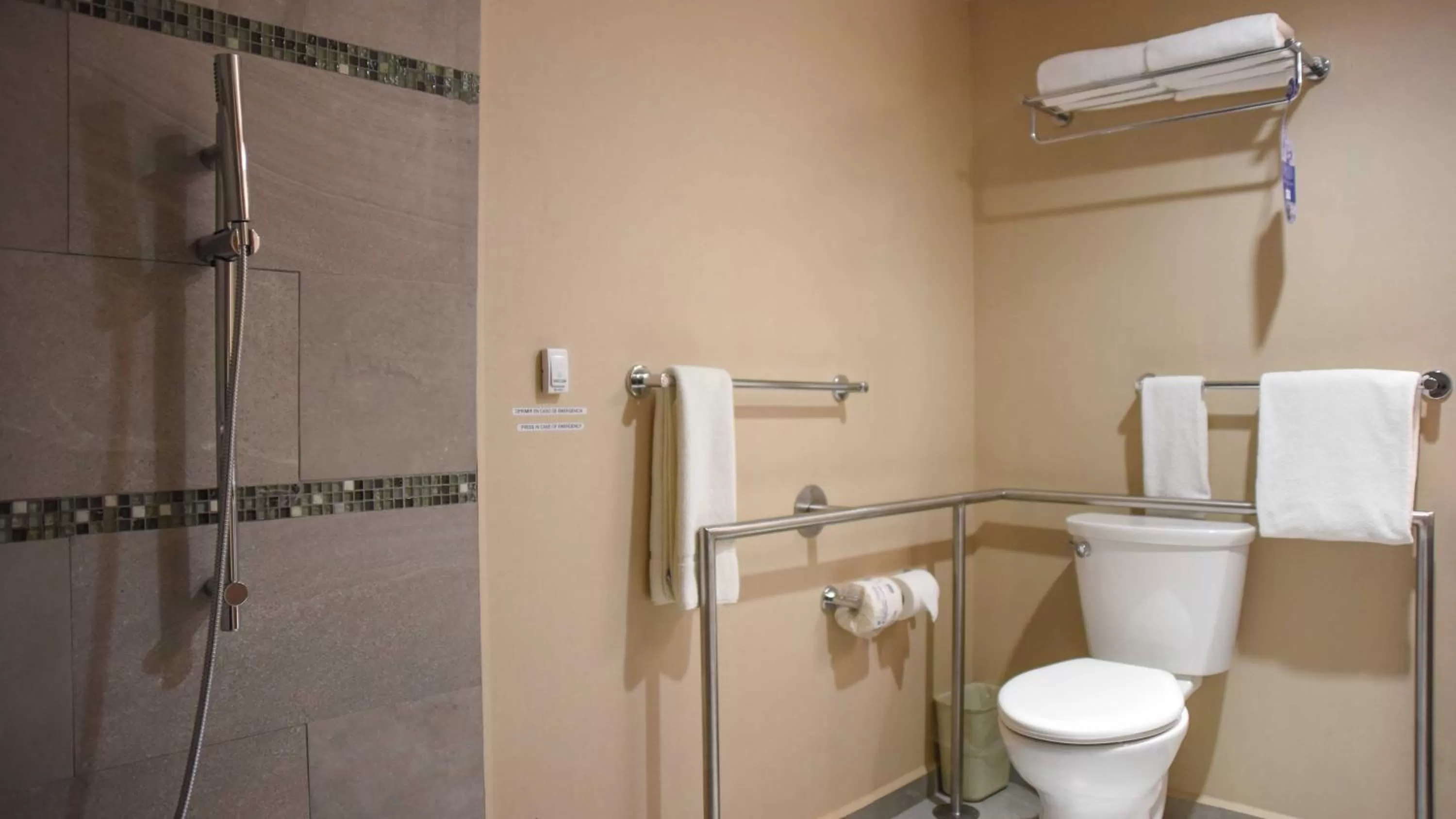 Toilet in Holiday Inn Express and Suites Celaya by IHG