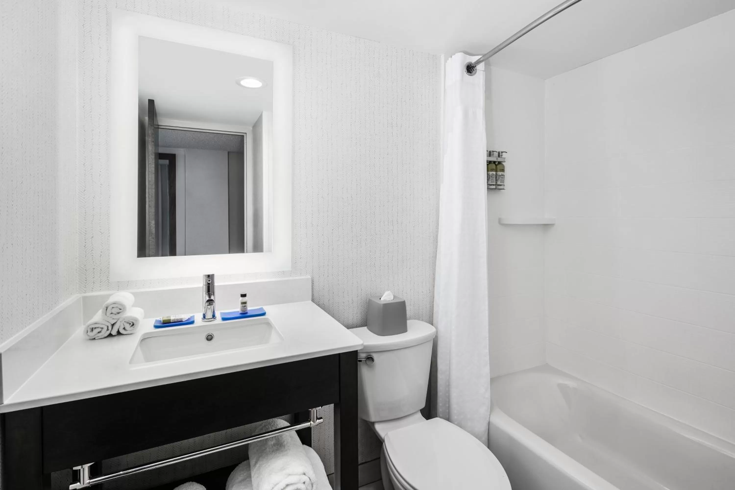 Bathroom in Holiday Inn Express Richmond - Midtown by IHG