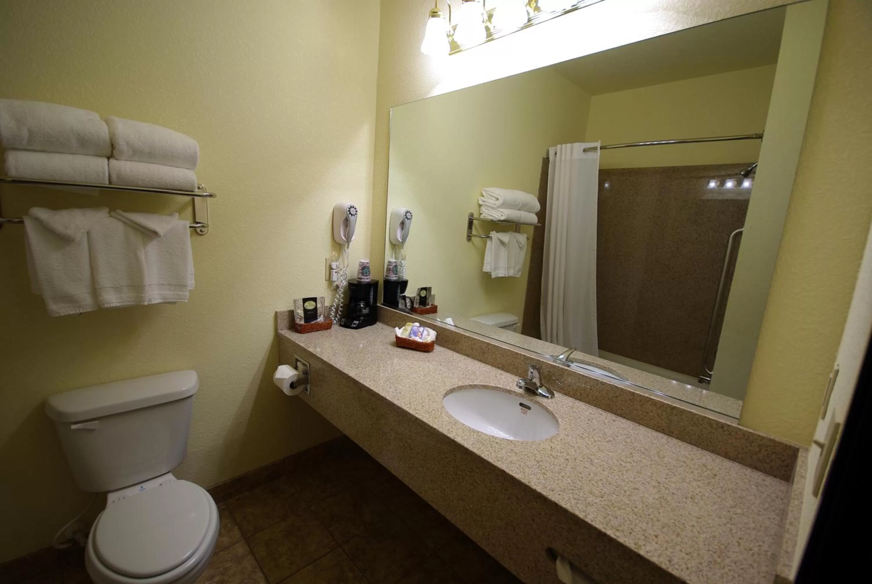 Bathroom in Mountain Inn & Suites Airport - Hendersonville