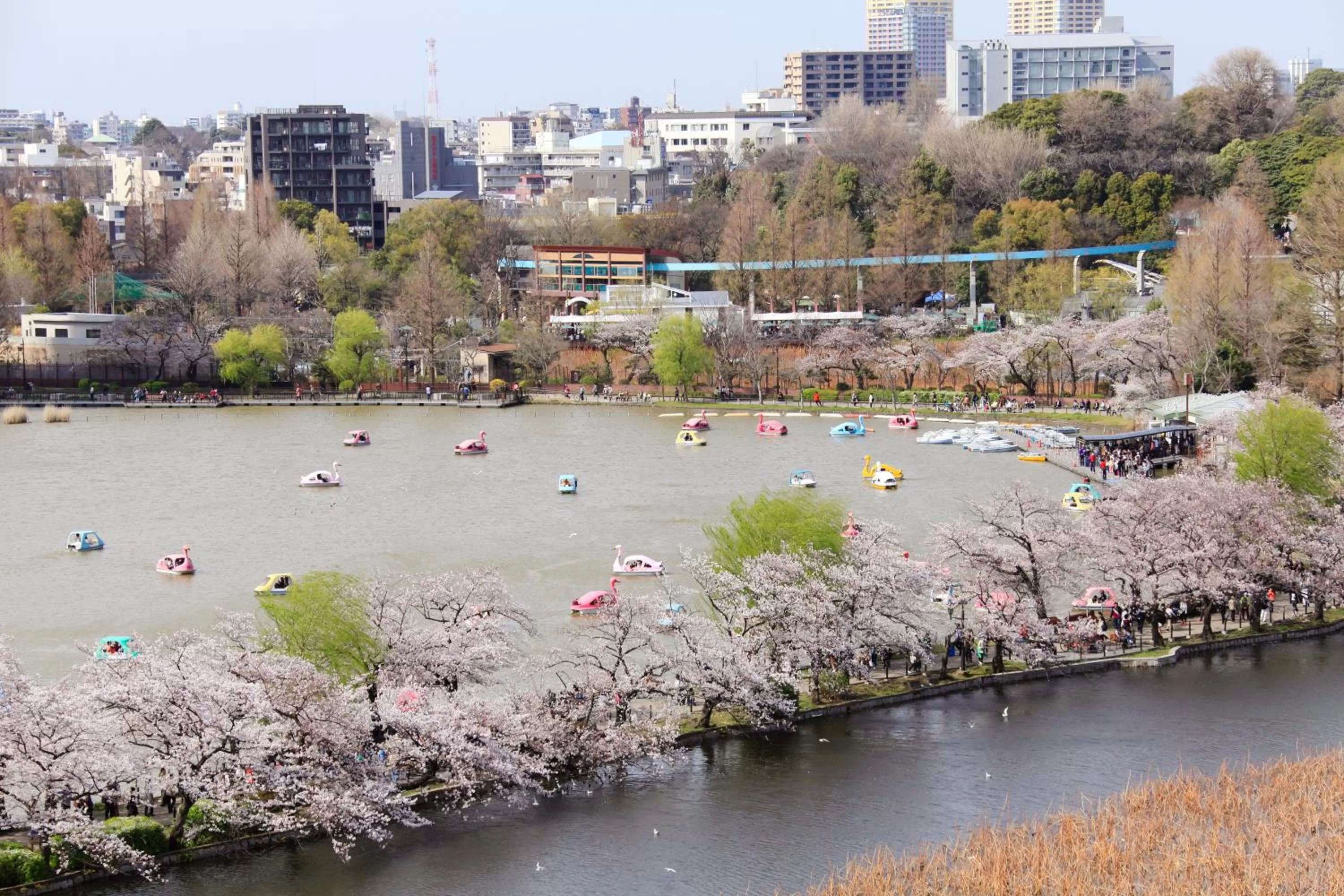 Off site in Centurion Hotel Ueno