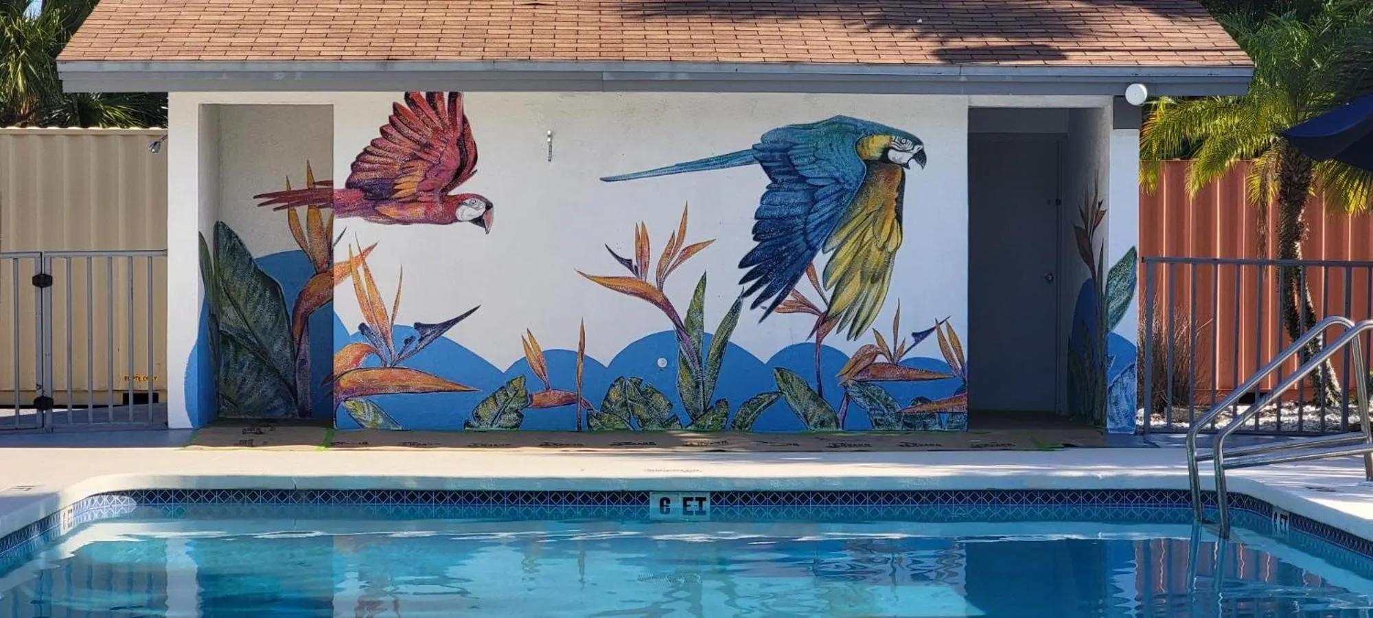 Swimming Pool in Vivo Living Kissimmee West