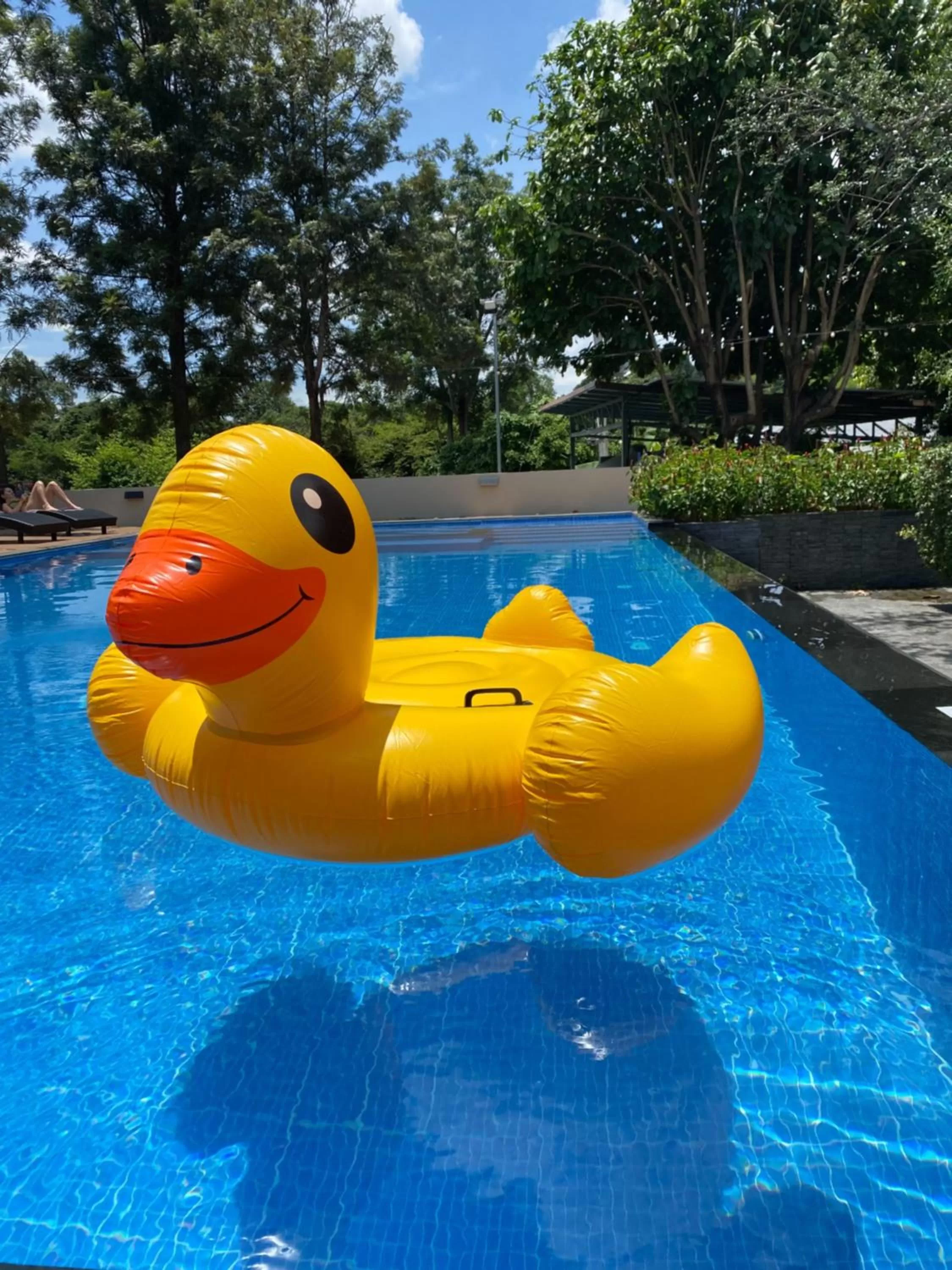 Swimming pool in Merchant Villa- SHA Extra Plus